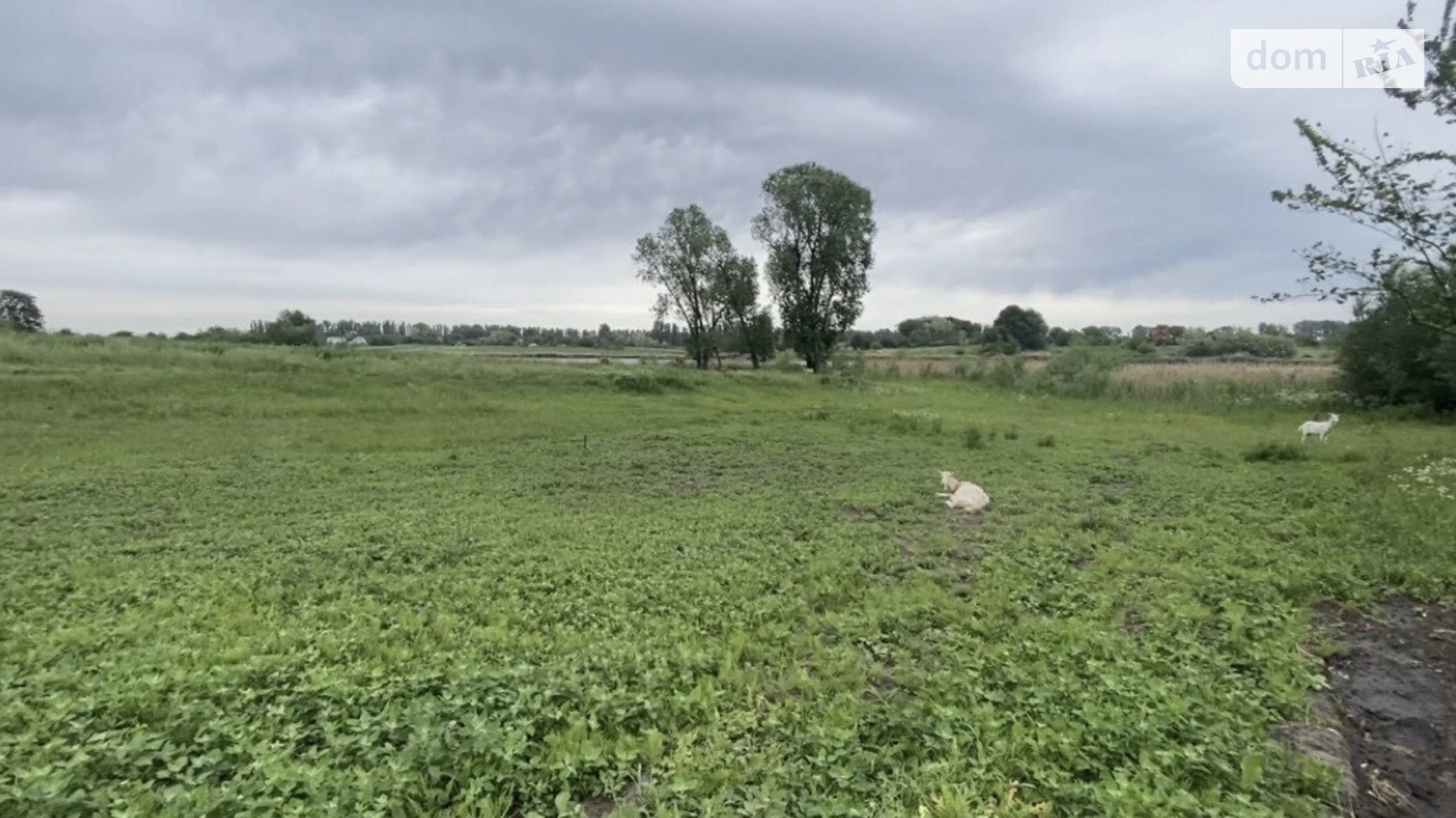 Кулябівка, цена: 10000 $ - фото 3