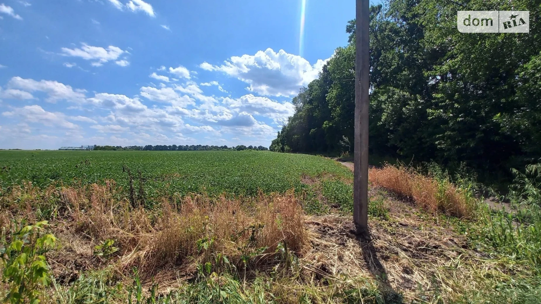 Продается земельный участок 1.5 соток в Винницкой области, цена: 150000 $ - фото 2