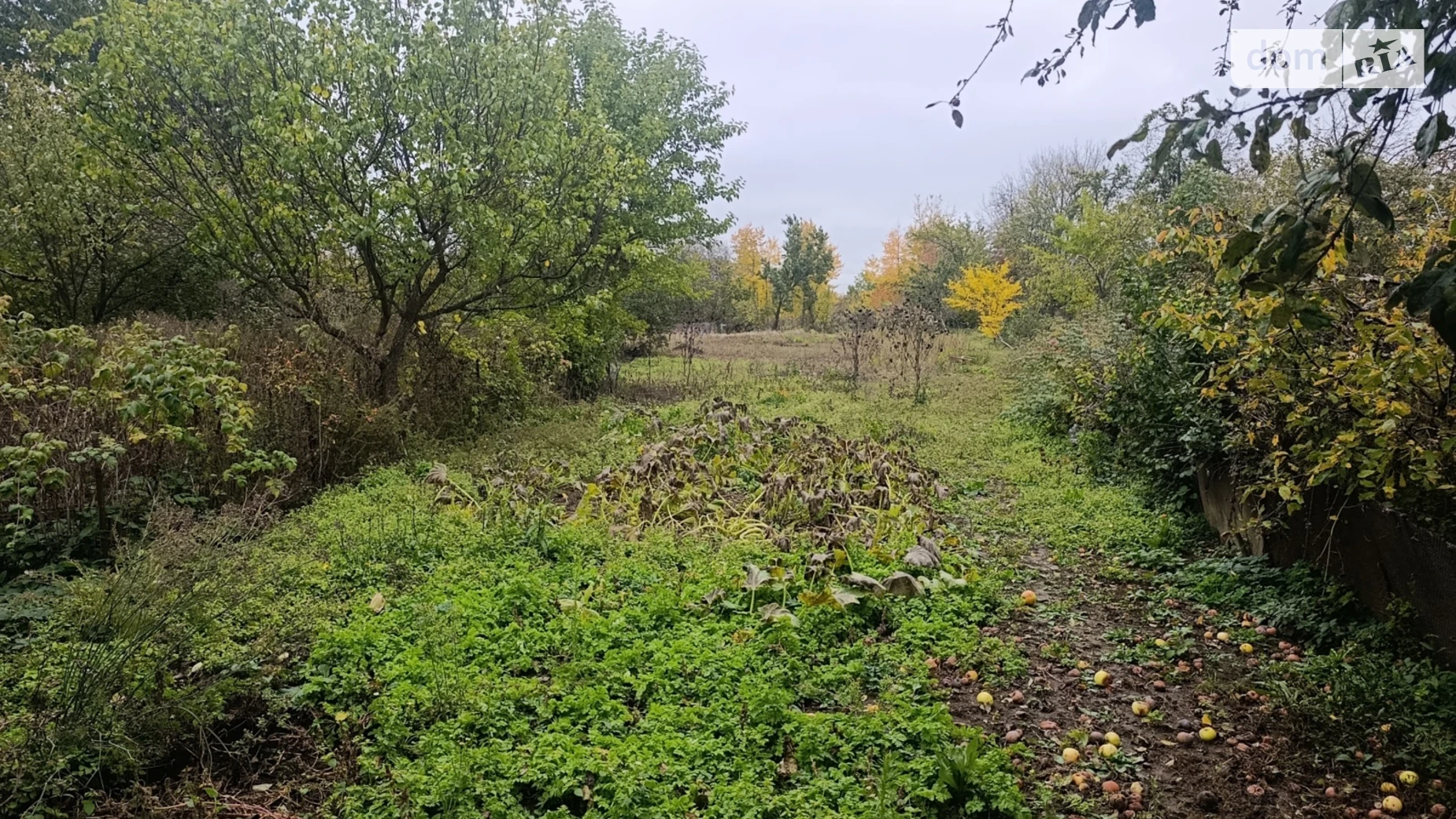 Продается одноэтажный дом 90 кв. м с камином, цена: 25000 $ - фото 2