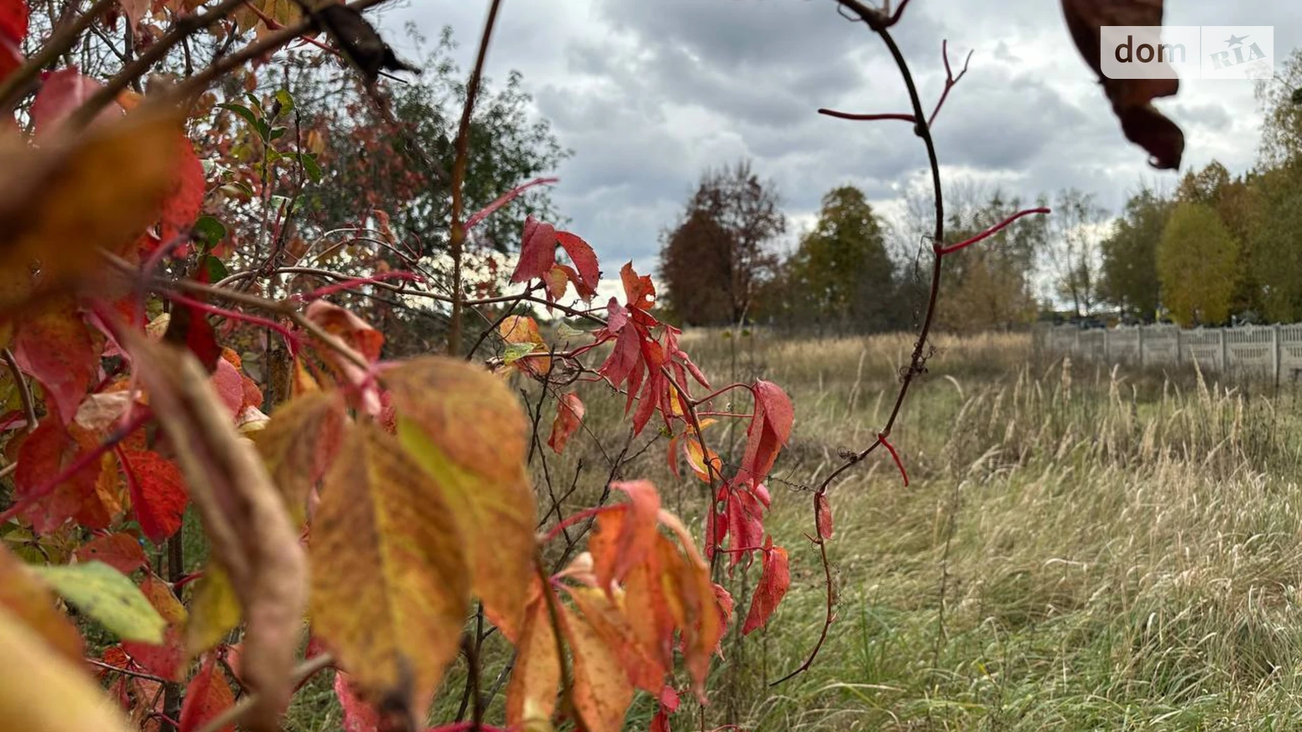 Продается земельный участок 25 соток в Киевской области, цена: 15500 $ - фото 5