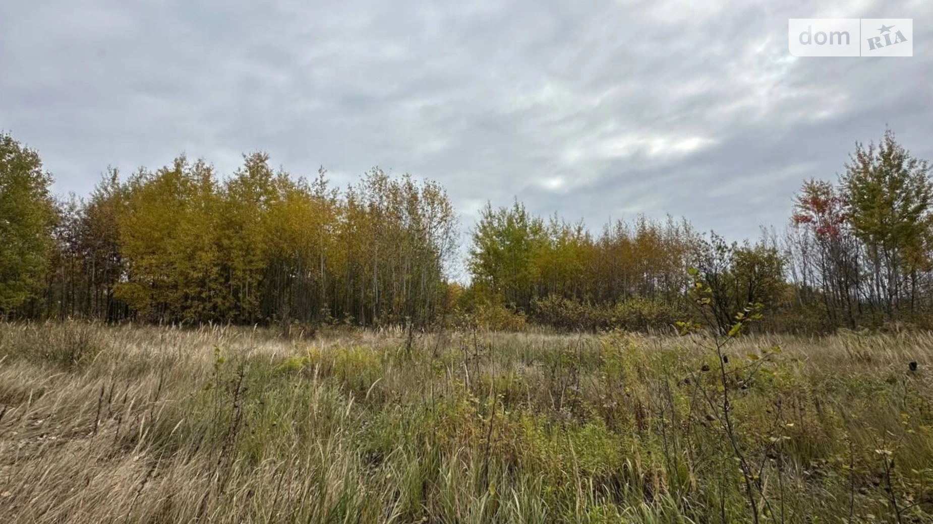 Продается земельный участок 41.54 соток в Киевской области, цена: 7000 $ - фото 2