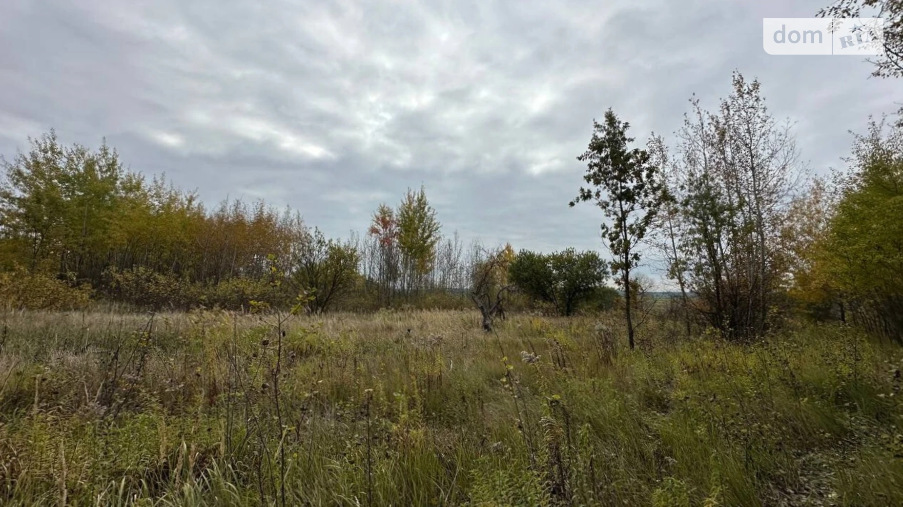 Продается земельный участок 41.54 соток в Киевской области, цена: 7000 $ - фото 3