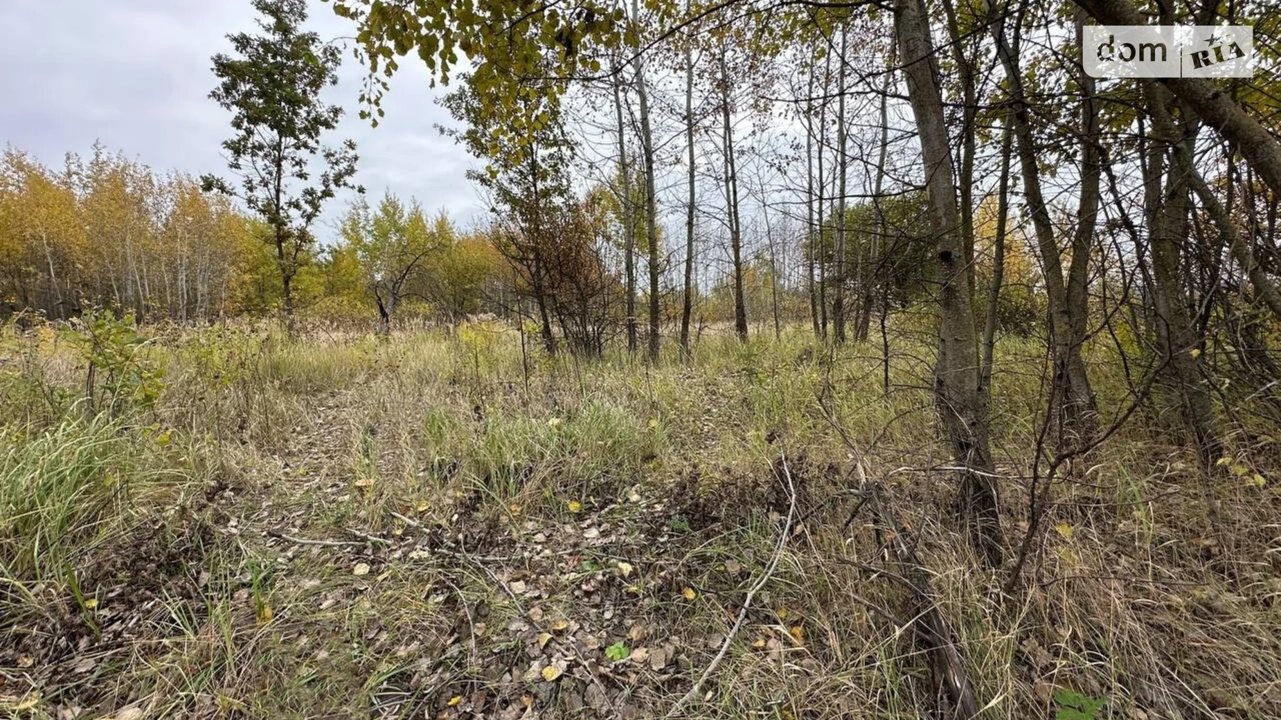 Продается земельный участок 41.54 соток в Киевской области, цена: 7000 $ - фото 4