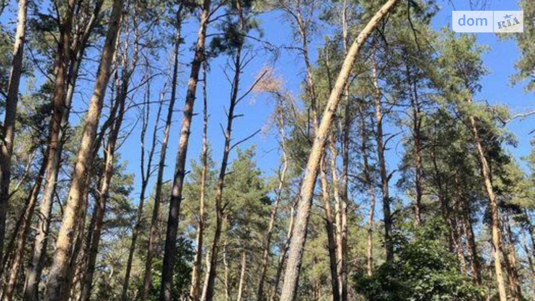 Продається 1-кімнатна квартира 50.7 кв. м у Києві, вул. Світла, 3Д корпус 3 - фото 5