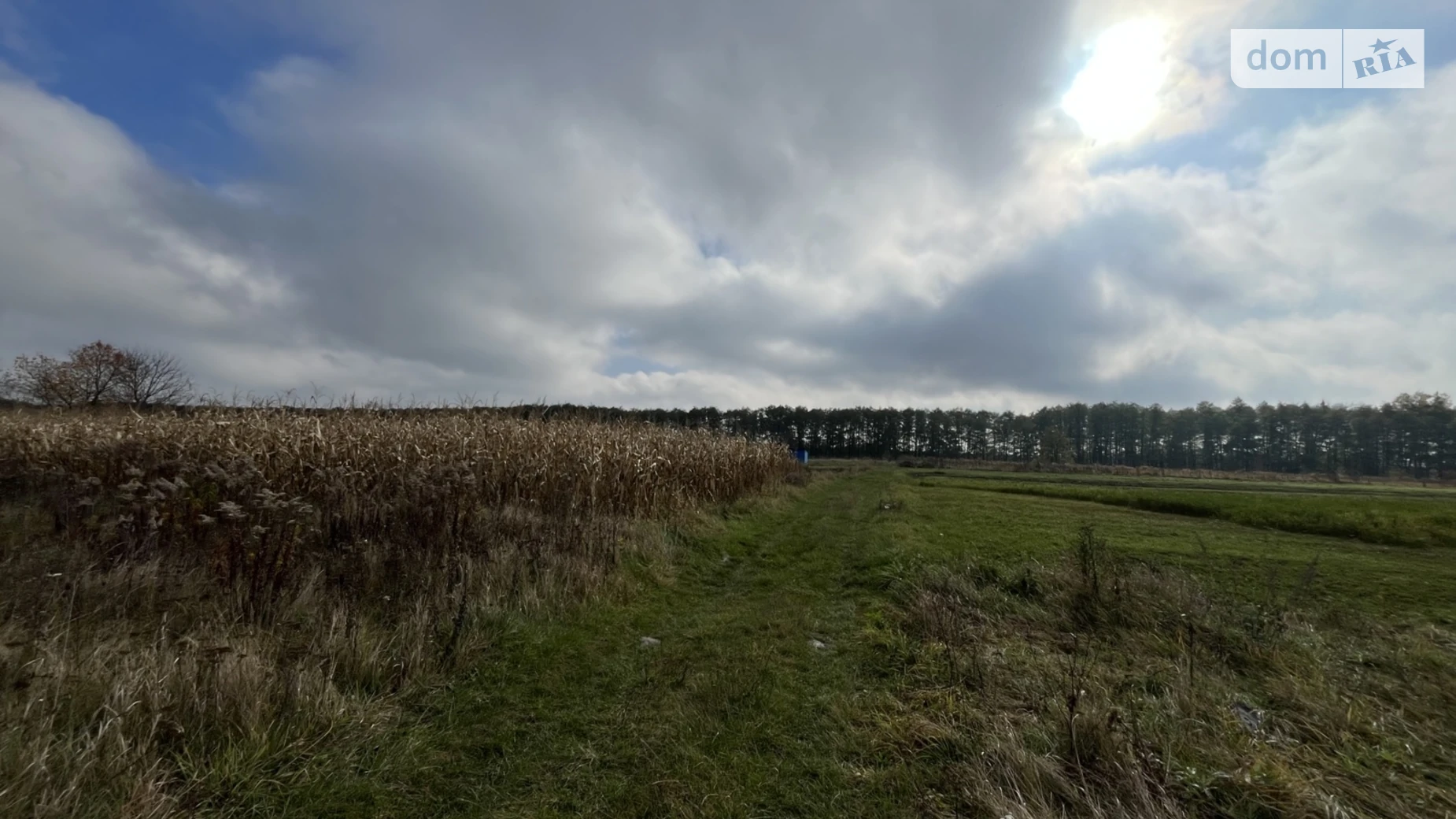 Продается земельный участок 12 соток в Винницкой области, цена: 16000 $ - фото 4