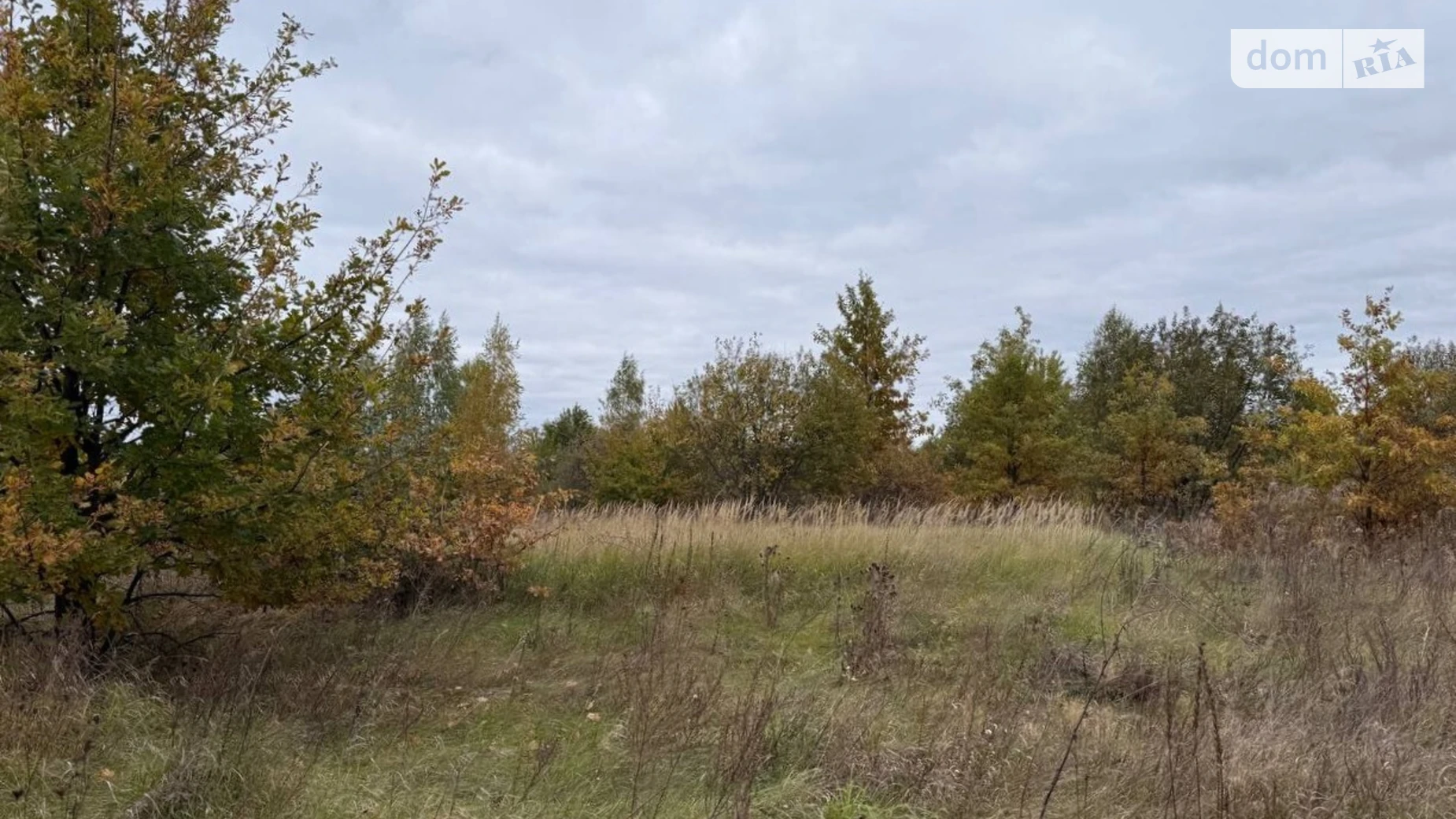 Продается земельный участок 1.0616 соток в Киевской области, цена: 67000 $ - фото 2