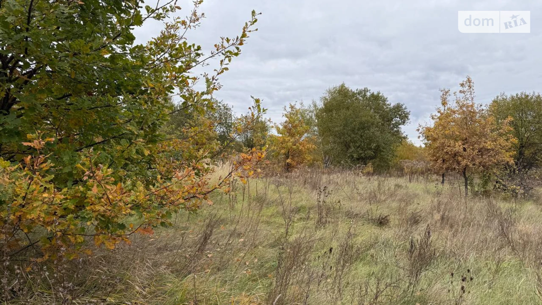 Продается земельный участок 1.0616 соток в Киевской области, цена: 67000 $ - фото 2