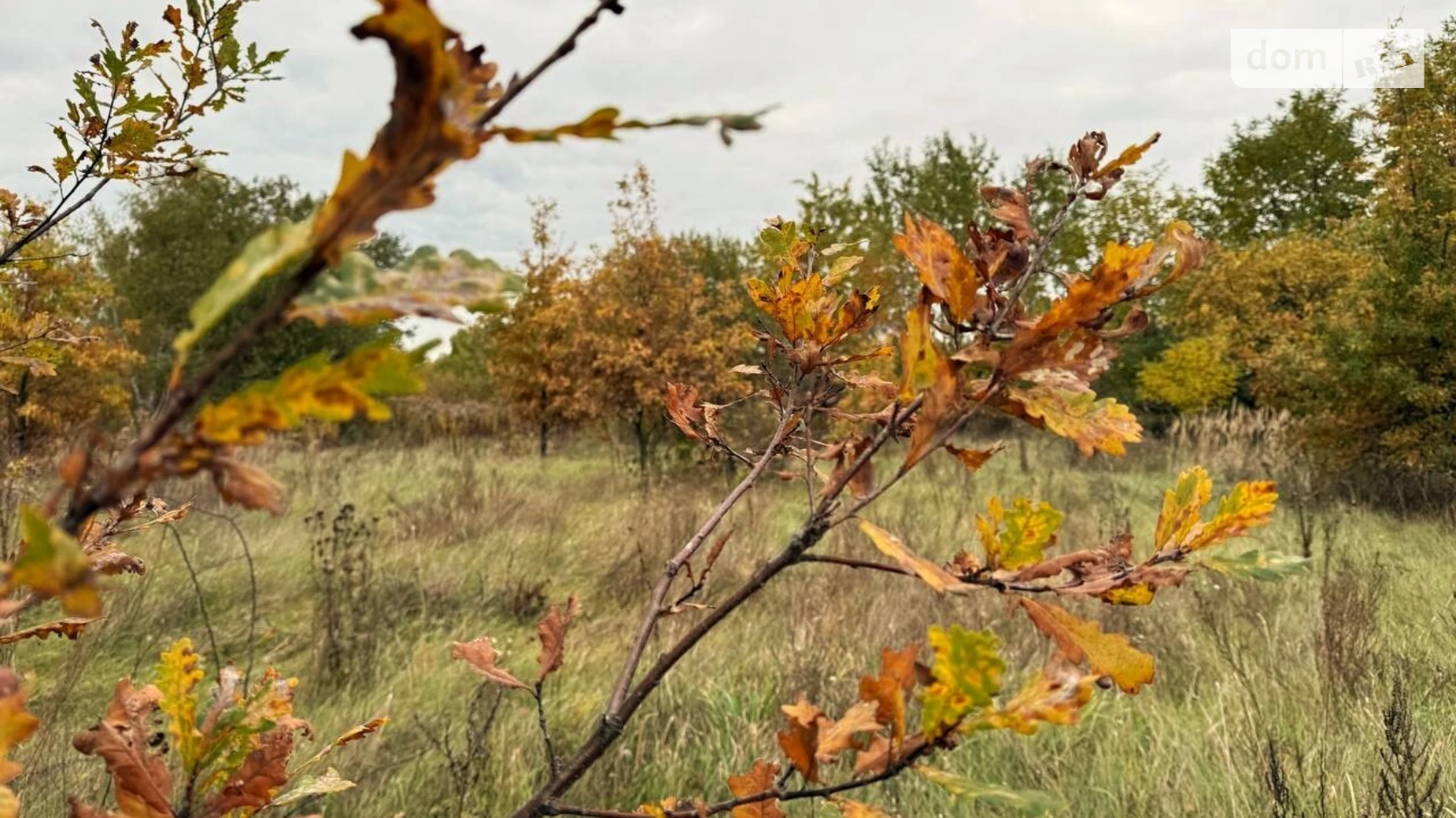 Продается земельный участок 1.0616 соток в Киевской области, цена: 67000 $ - фото 5