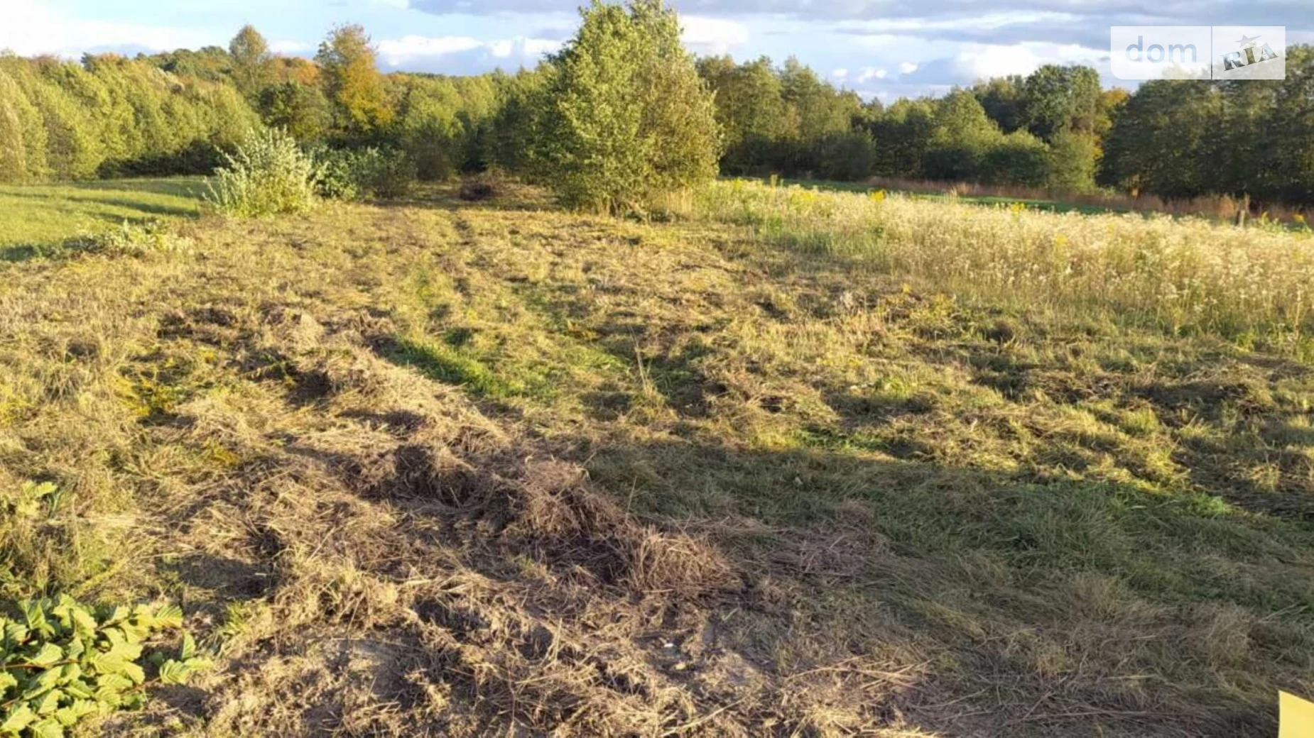 Задебри, цена: 21500 $ - фото 2