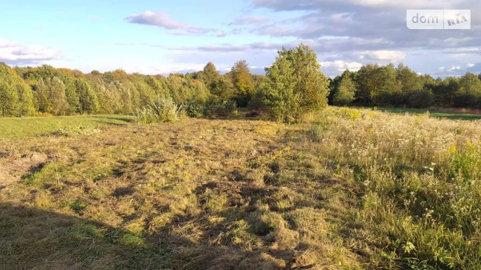 Задебри, цена: 21500 $ - фото 3