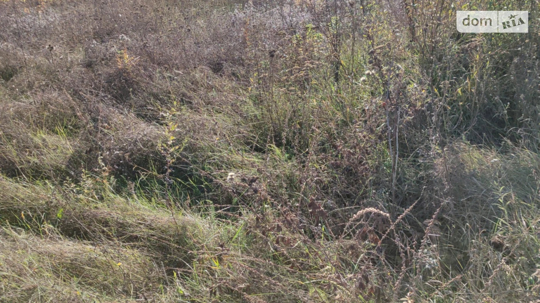 Продается земельный участок 16 соток в Винницкой области, цена: 75000 $ - фото 5