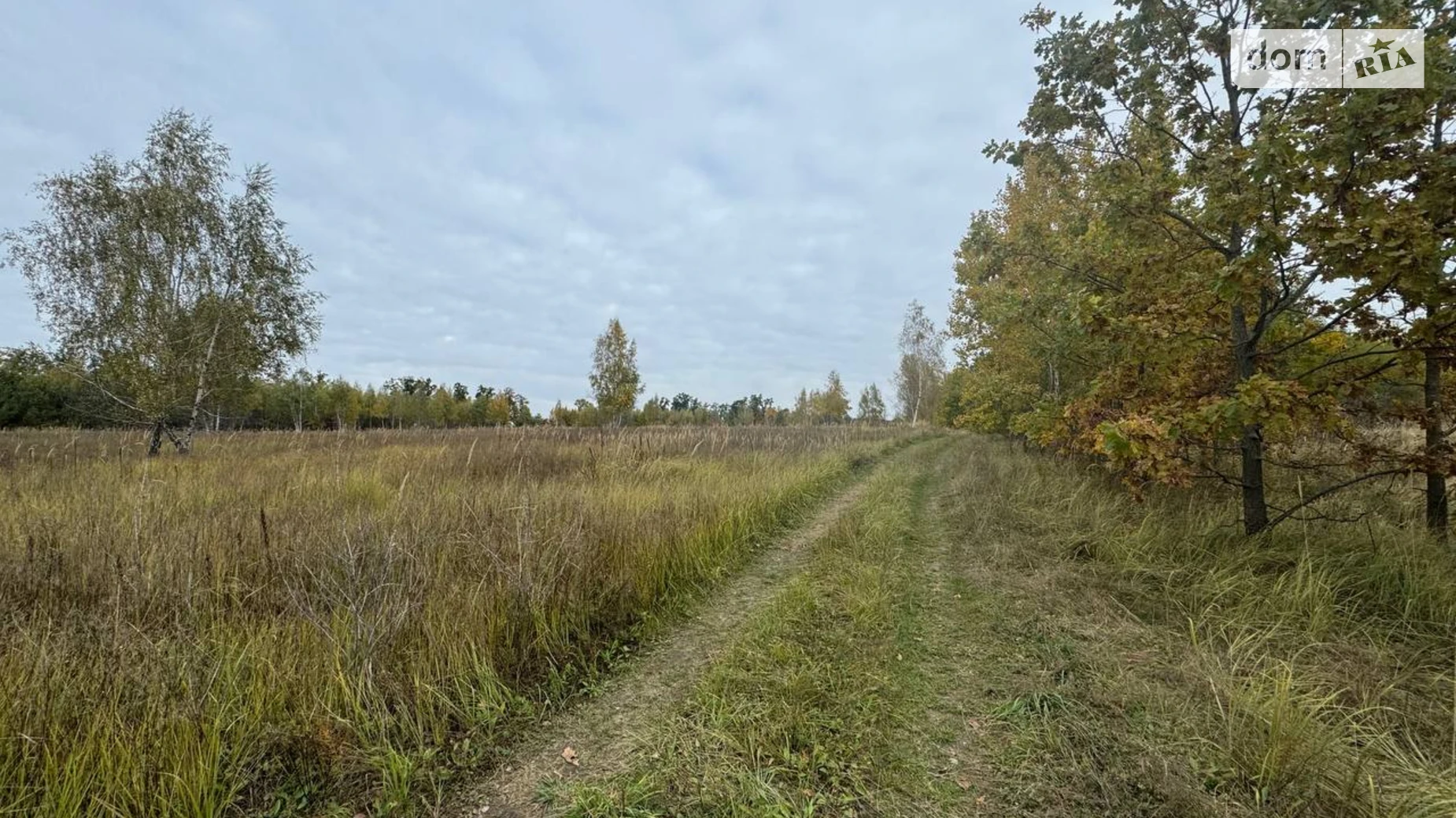 Продается земельный участок 2.014 соток в Киевской области, цена: 25000 $ - фото 2