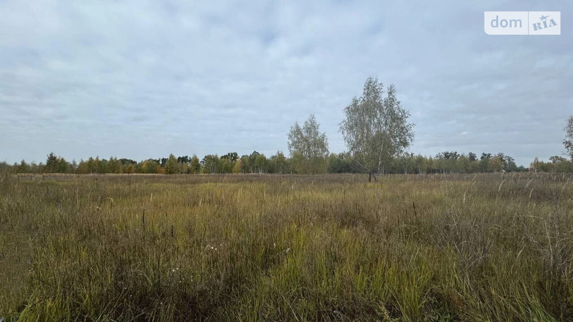Продается земельный участок 2.014 соток в Киевской области, цена: 25000 $ - фото 5