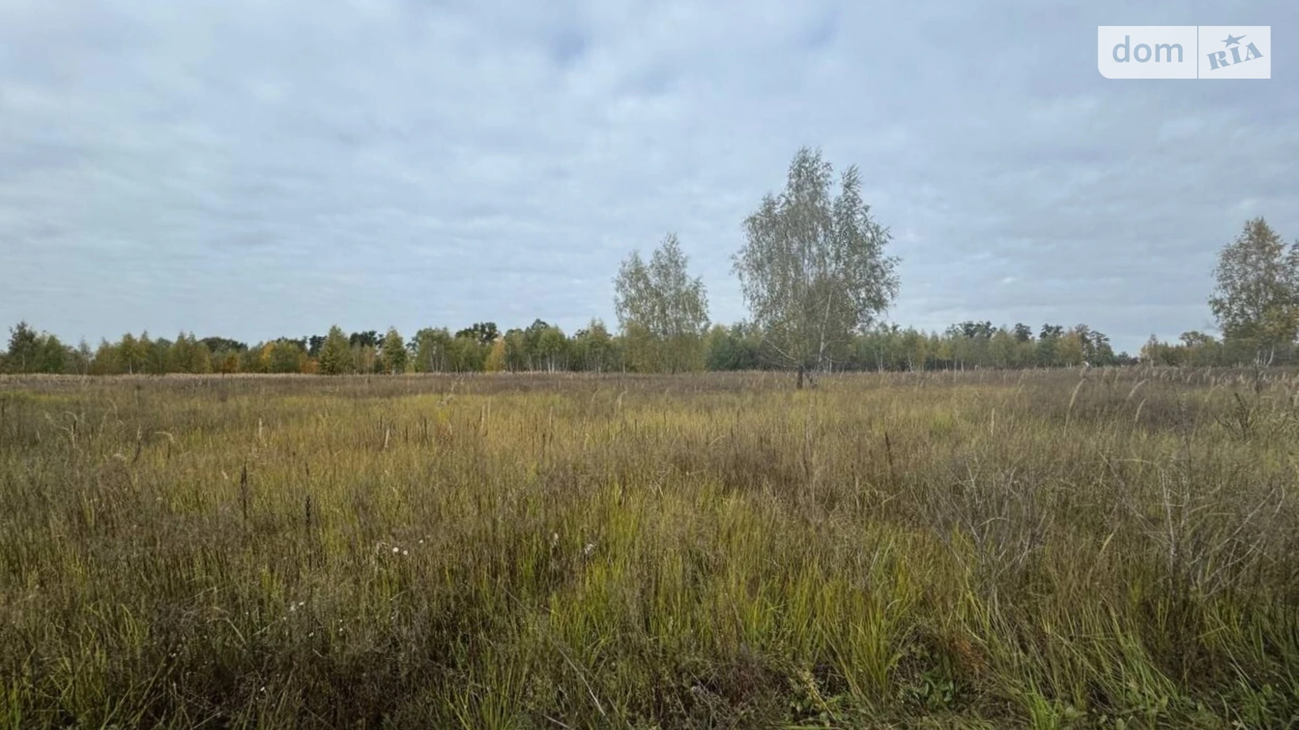 Продается земельный участок 2.014 соток в Киевской области, цена: 25000 $ - фото 4