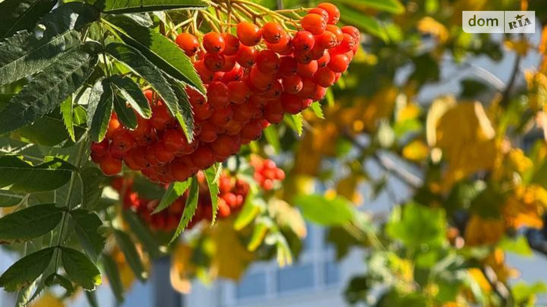 Продается 2-комнатная квартира 57.43 кв. м в Ирпене, ул. Ольги Кобылянской(Достоевского), 1В/37 - фото 4