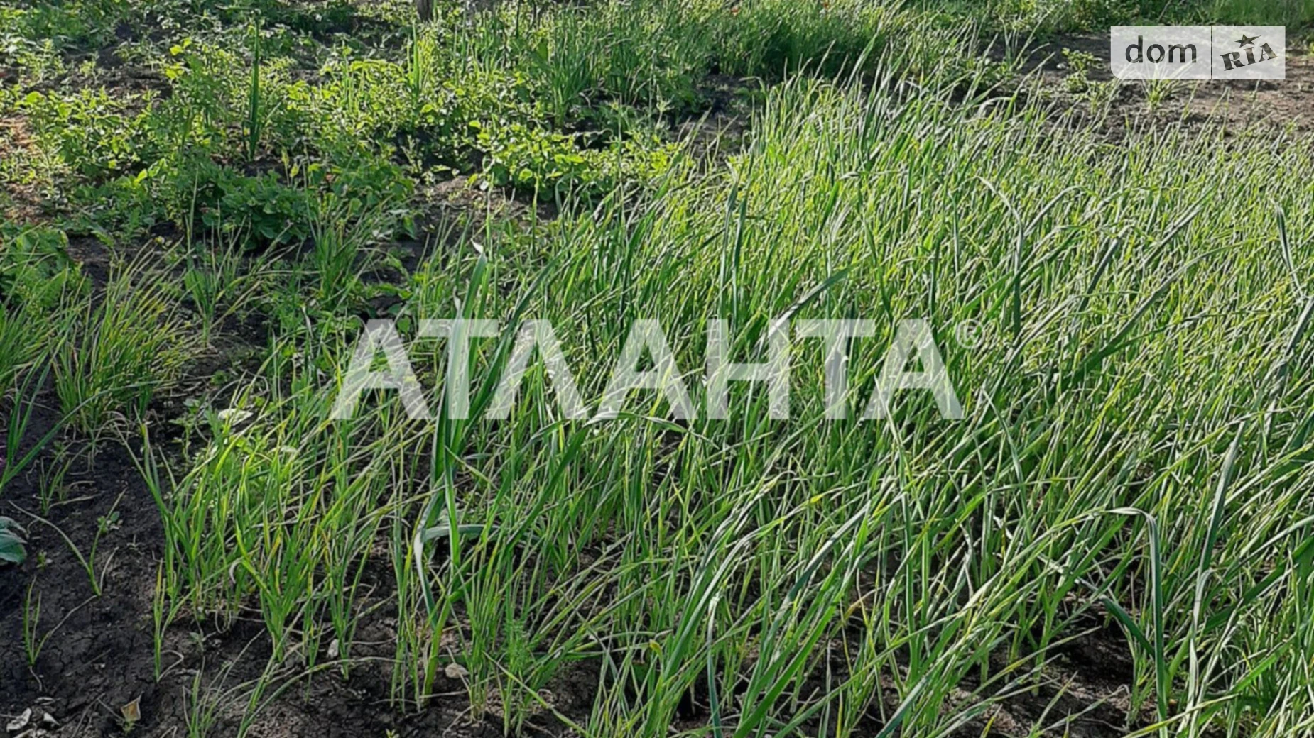 Продается земельный участок 5 соток в Одесской области, цена: 3500 $ - фото 2