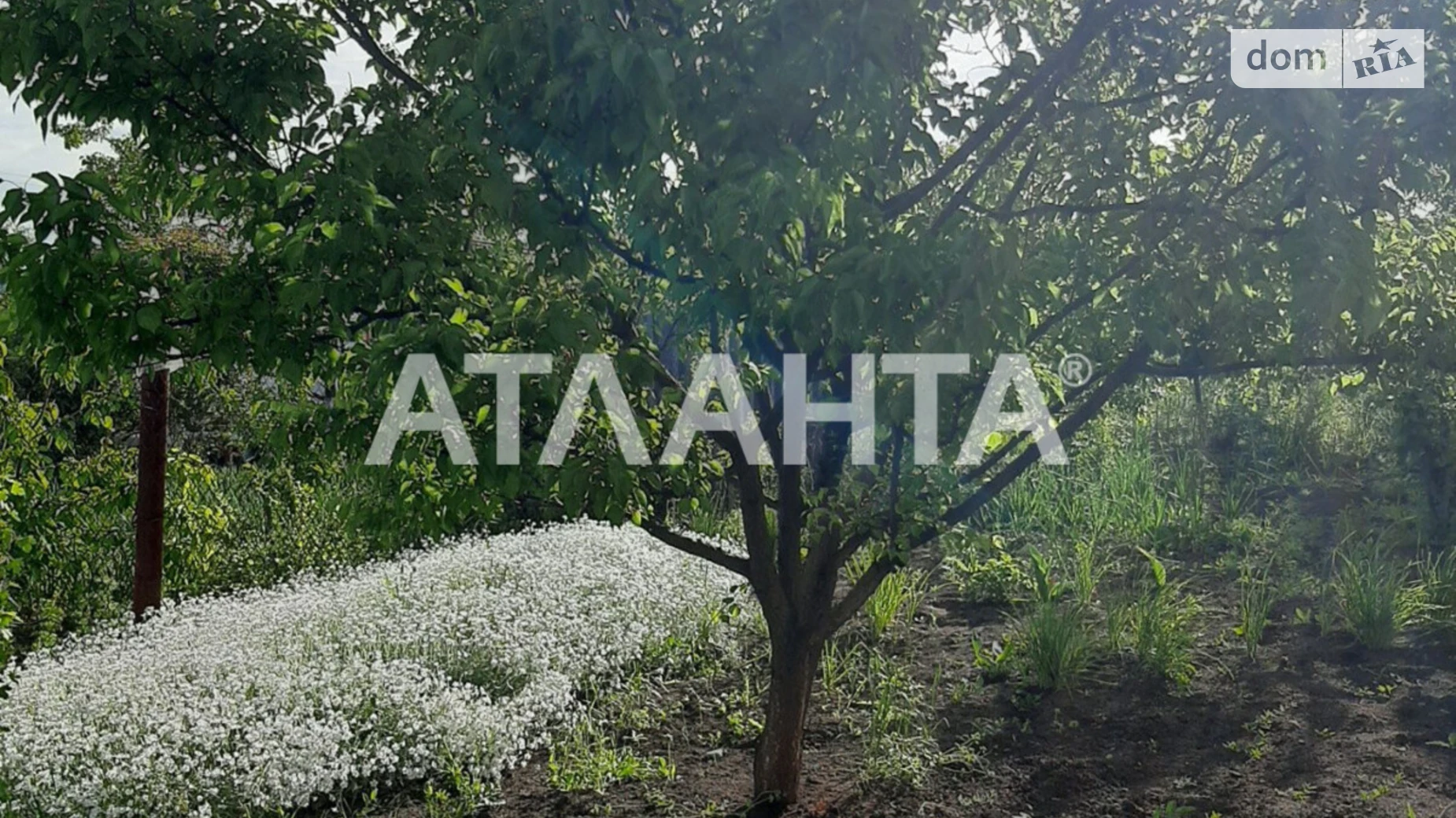 Продается земельный участок 5 соток в Одесской области, цена: 3500 $ - фото 3
