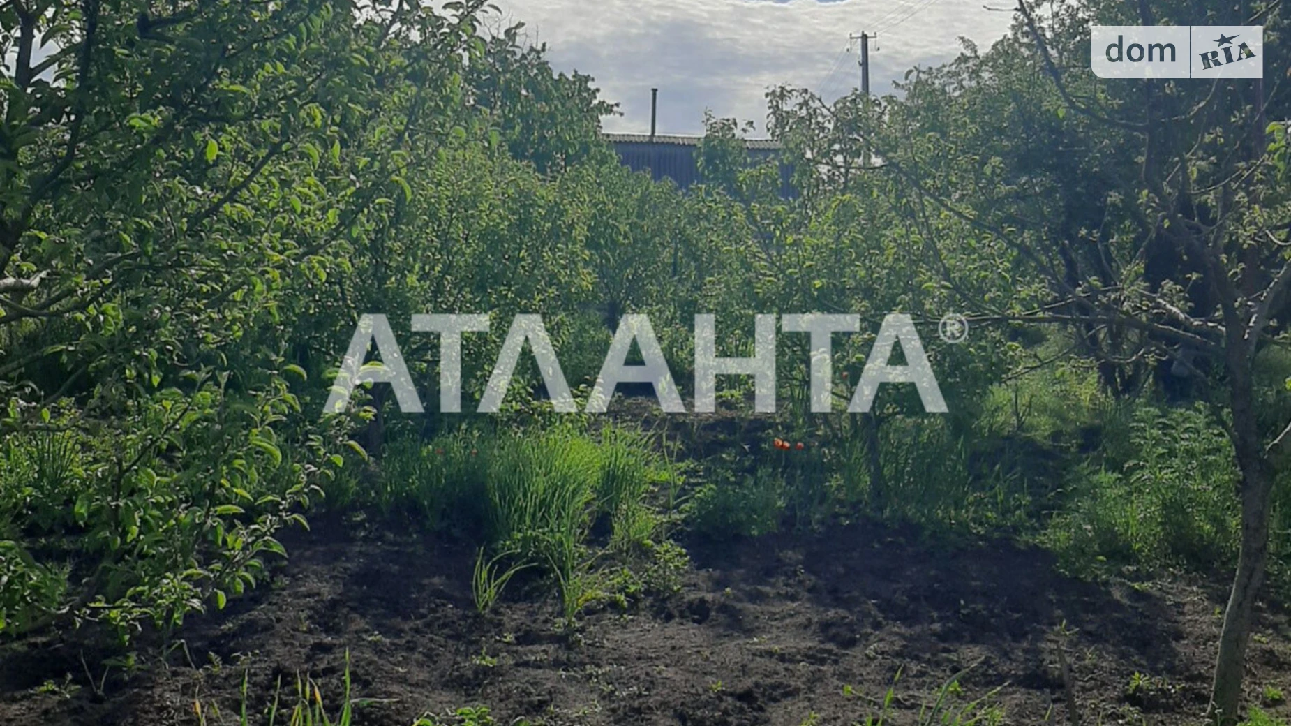 Продается земельный участок 5 соток в Одесской области, цена: 3500 $ - фото 4