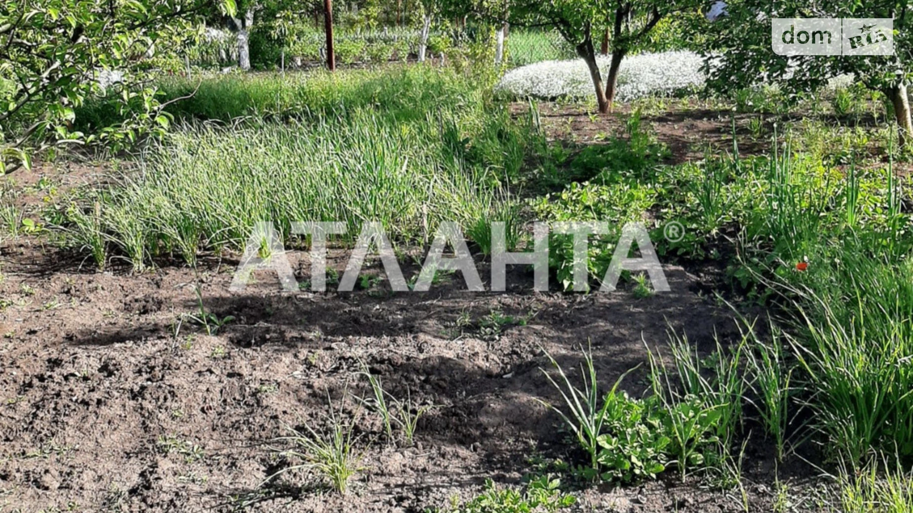 Продается земельный участок 5 соток в Одесской области, цена: 3500 $ - фото 5