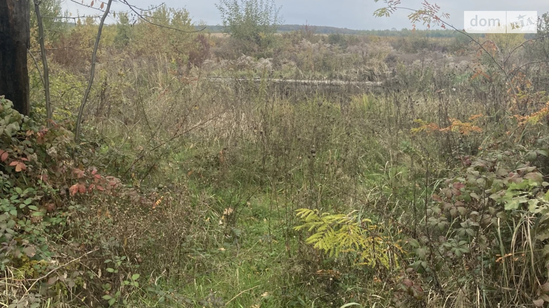 Оноківці, цена: 37800 $ - фото 5