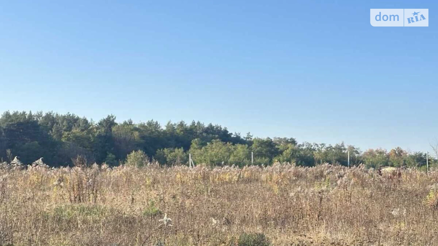 мас. Поляна Прибужское (Шкуринци), цена: 25000 $ - фото 2