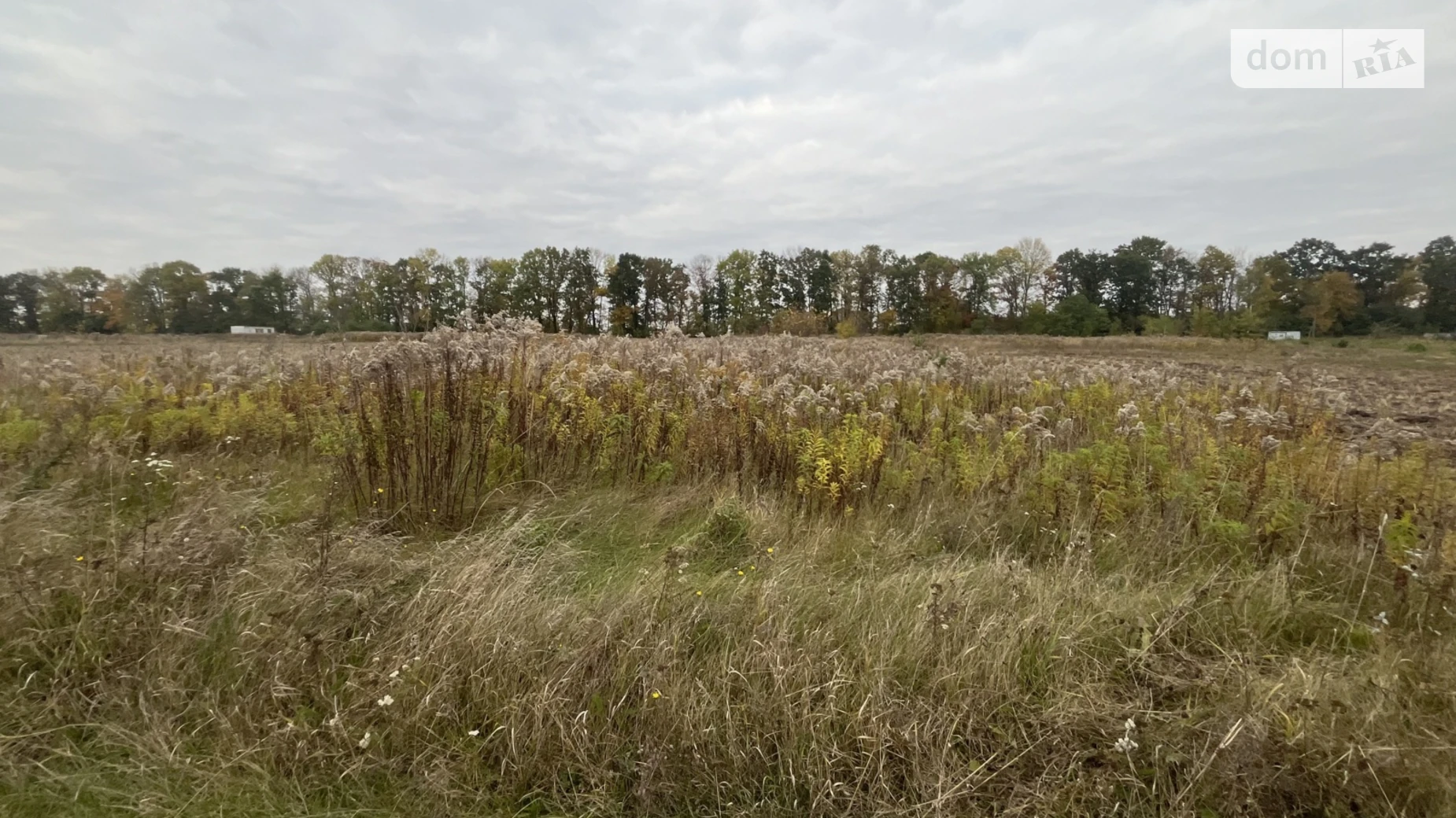 Продается земельный участок 15 соток в Винницкой области, цена: 23000 $ - фото 5