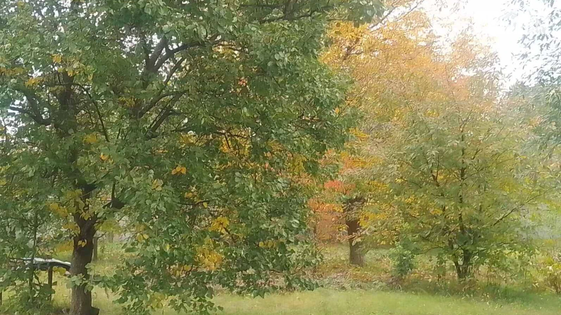 Продается одноэтажный дом 67 кв. м с баней/сауной, цена: 12300 $ - фото 4