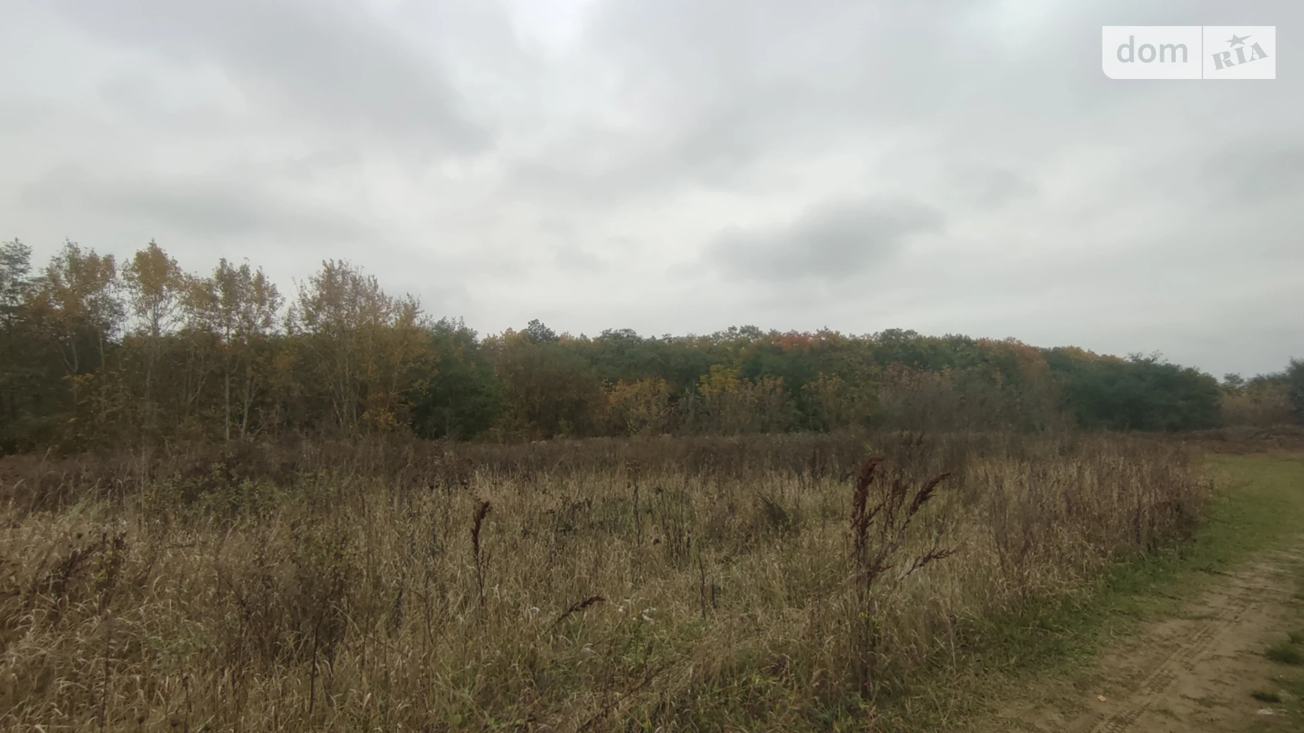 ул. Высокий Берег Прибужское (Шкуринци), цена: 840000 $ - фото 5