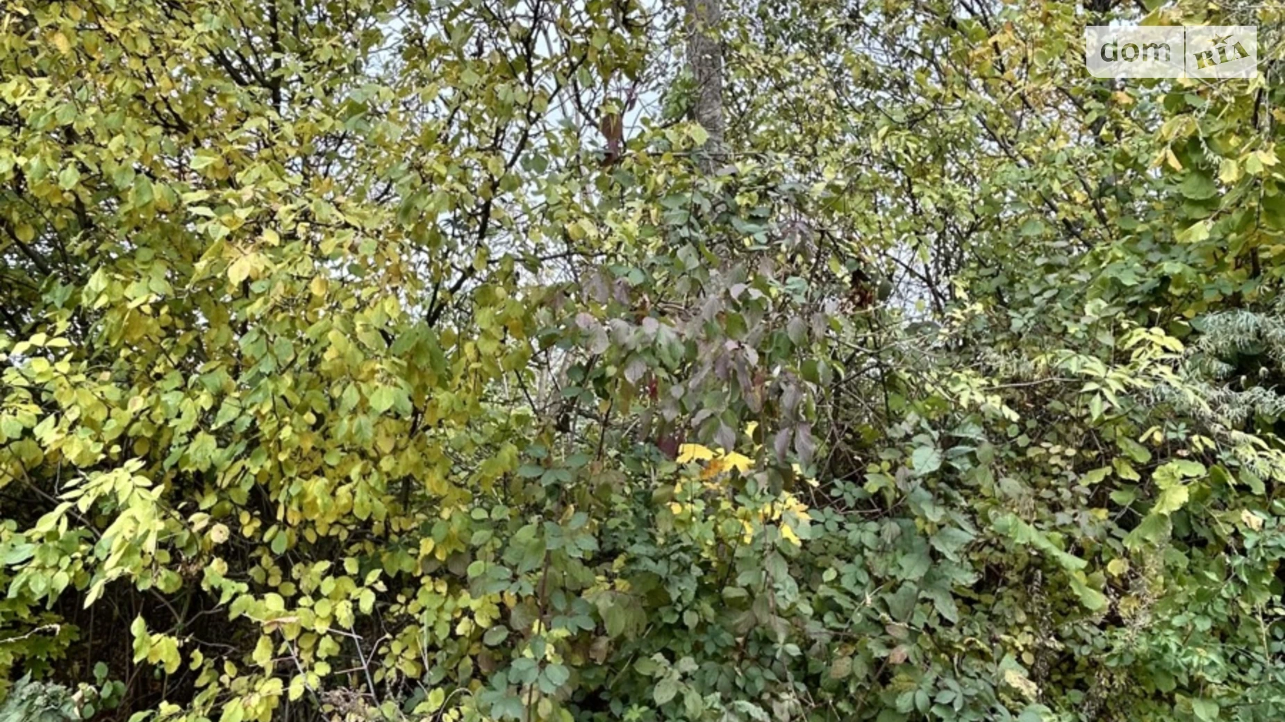 Продается земельный участок 6 соток в Хмельницкой области, цена: 6000 $ - фото 4