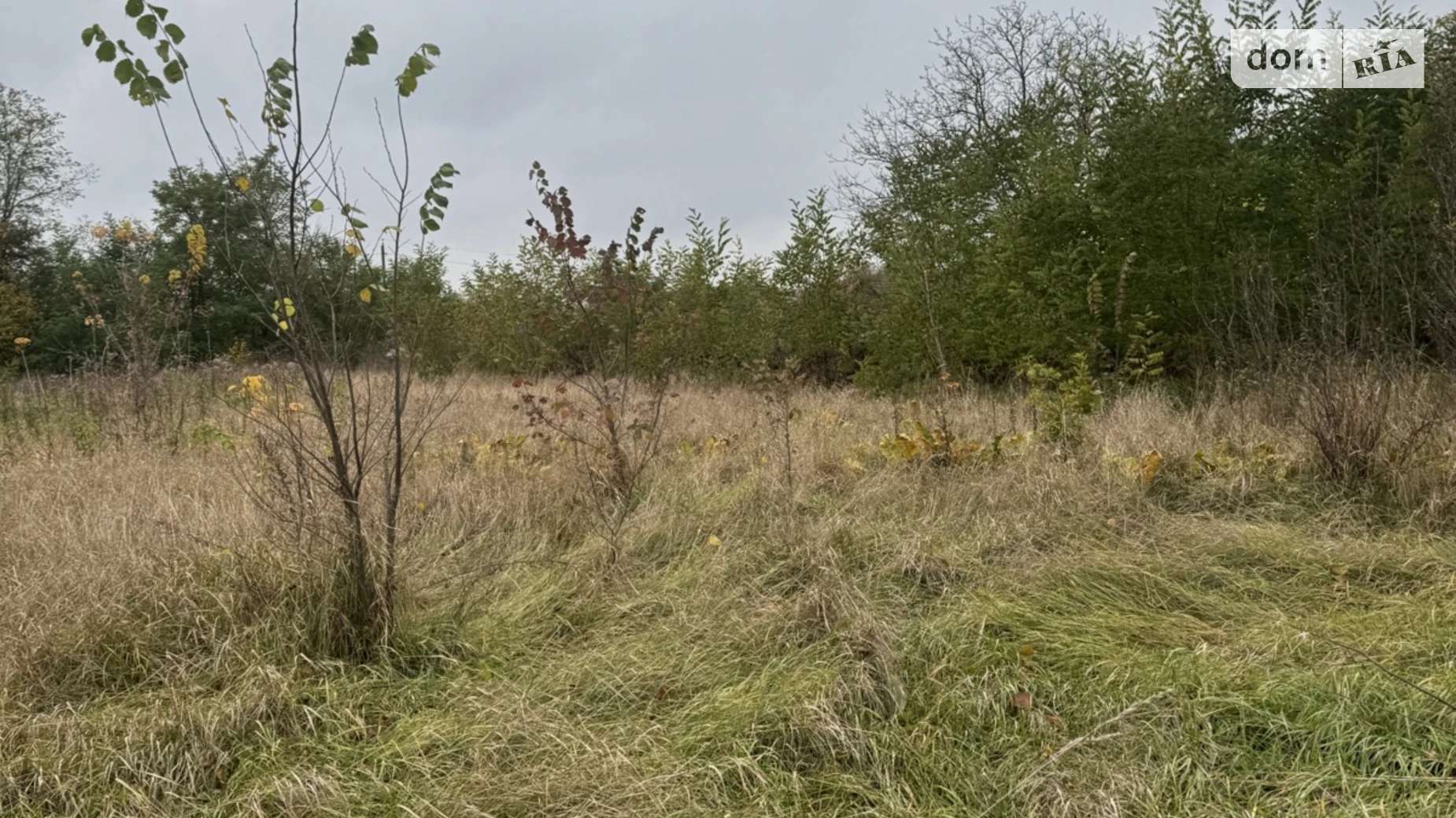 Продается земельный участок 23.5 соток в Винницкой области, цена: 20000 $ - фото 3