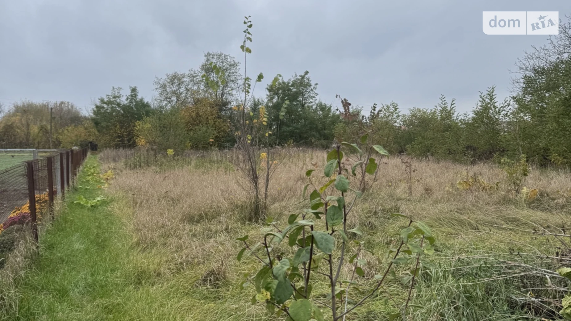 Продается земельный участок 23.5 соток в Винницкой области, цена: 22000 $ - фото 2