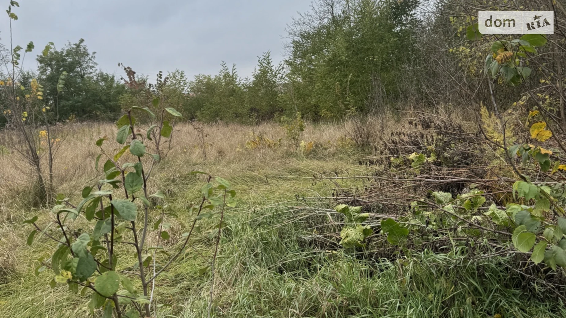 Продается земельный участок 23.5 соток в Винницкой области, цена: 22000 $ - фото 3