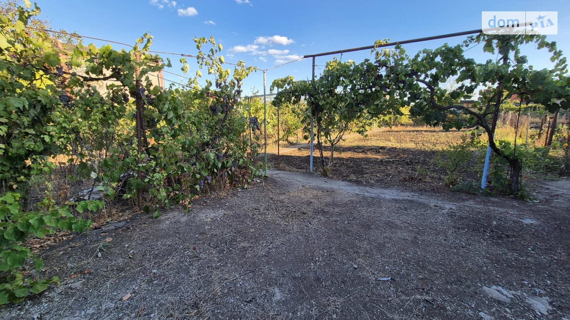 Продается земельный участок 6 соток в Одесской области, цена: 5500 $ - фото 4