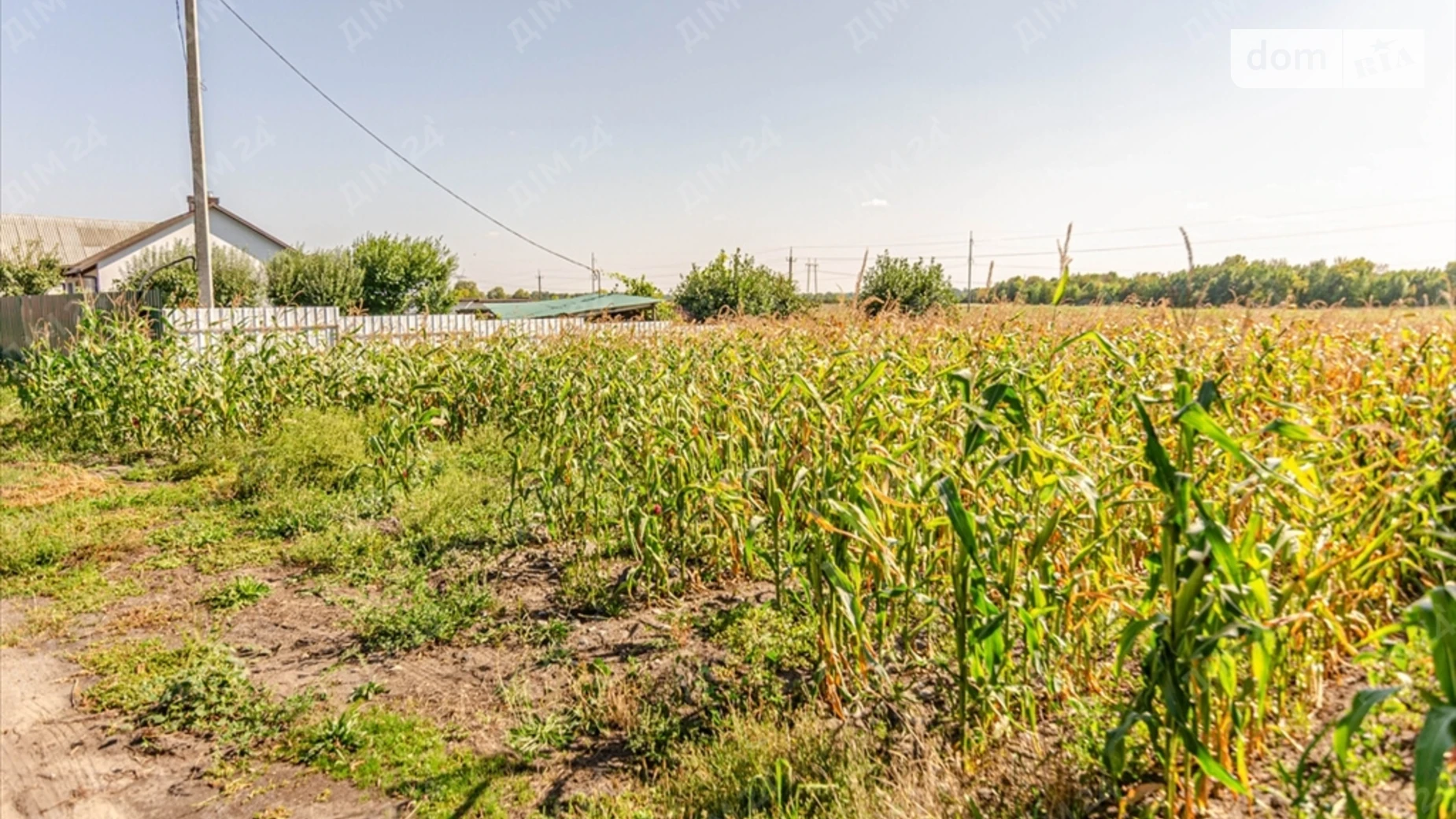 Продається земельна ділянка 10 соток у Полтавській області, цена: 6800 $ - фото 2