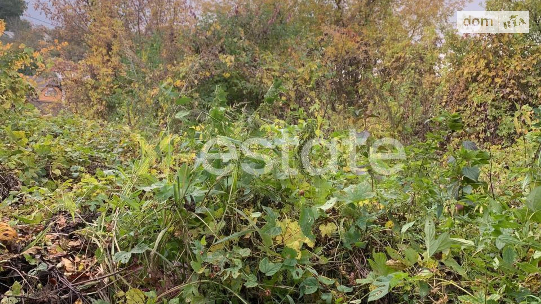 Продается земельный участок 6.17 соток в Киевской области, цена: 50000 $ - фото 3