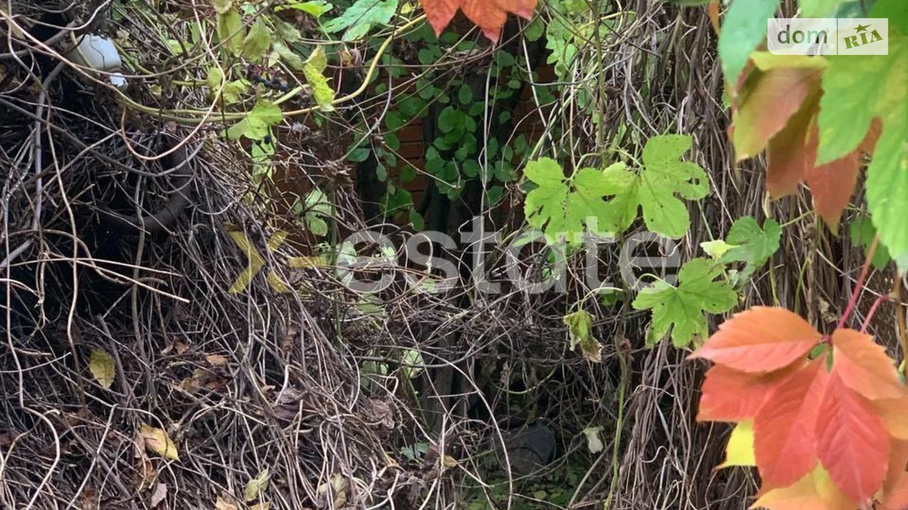 Продается земельный участок 6.17 соток в Киевской области, цена: 50000 $ - фото 2