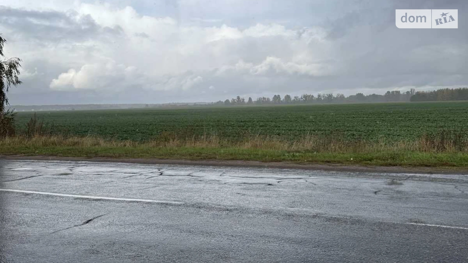 Продается земельный участок 194.28 соток в Киевской области, цена: 199000 $ - фото 2