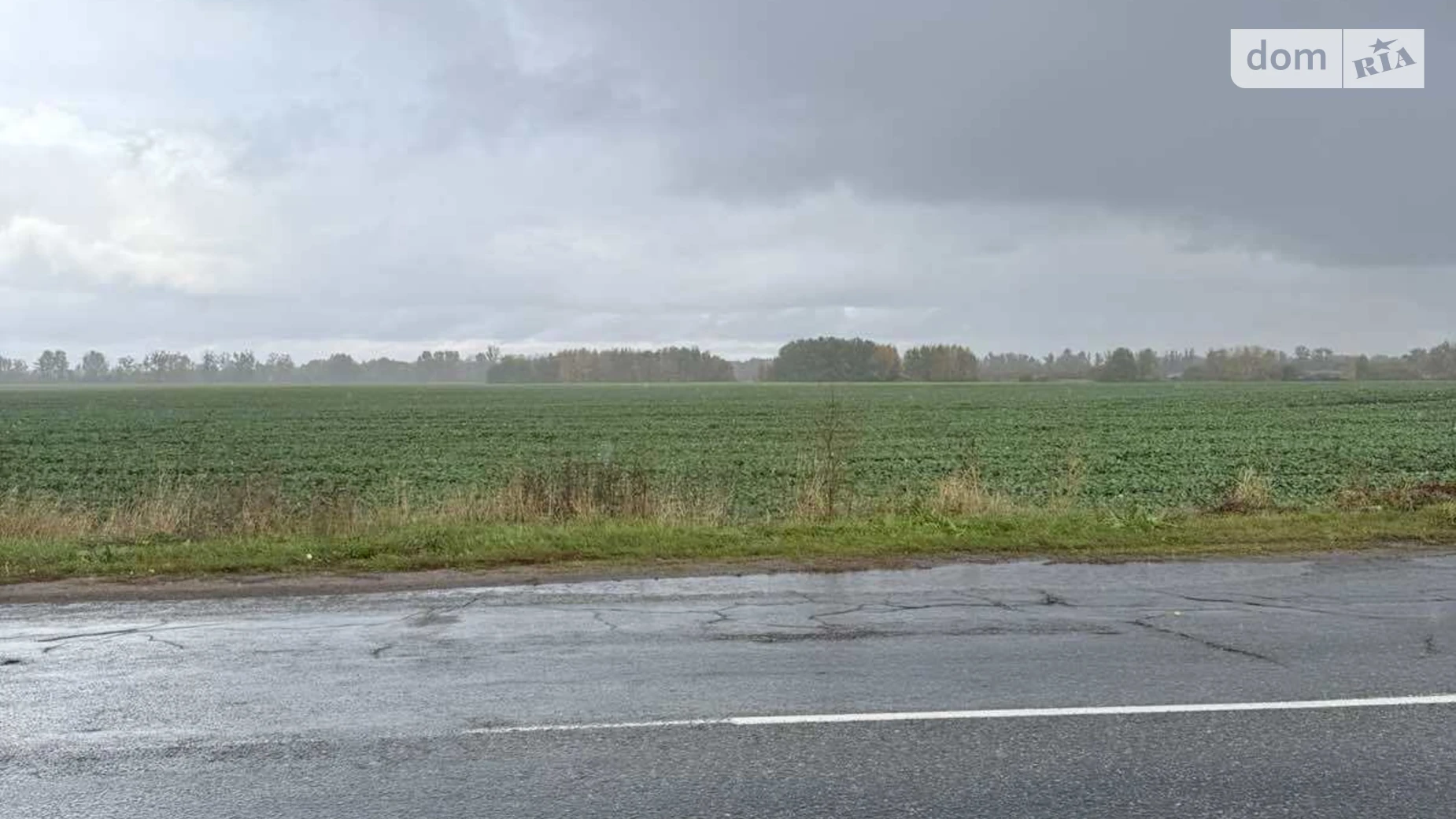 Продается земельный участок 194.28 соток в Киевской области, цена: 199000 $ - фото 3