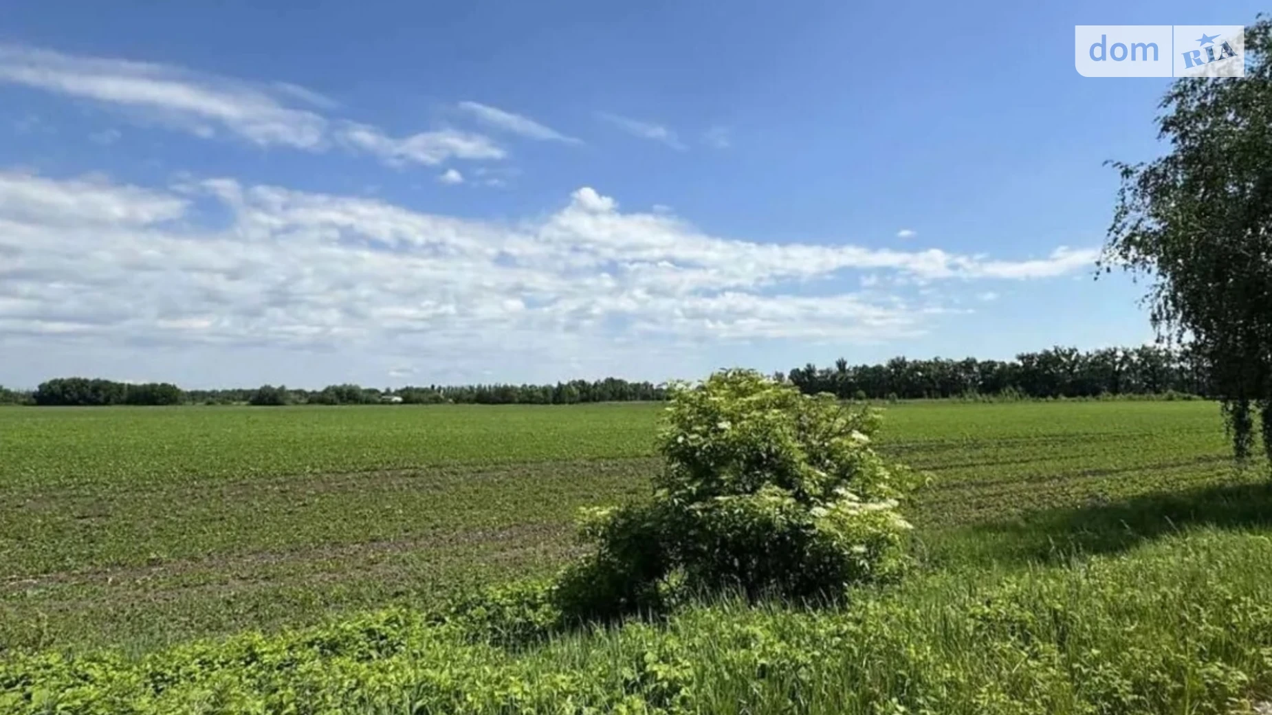 Продается земельный участок 194.28 соток в Киевской области, цена: 199000 $ - фото 5