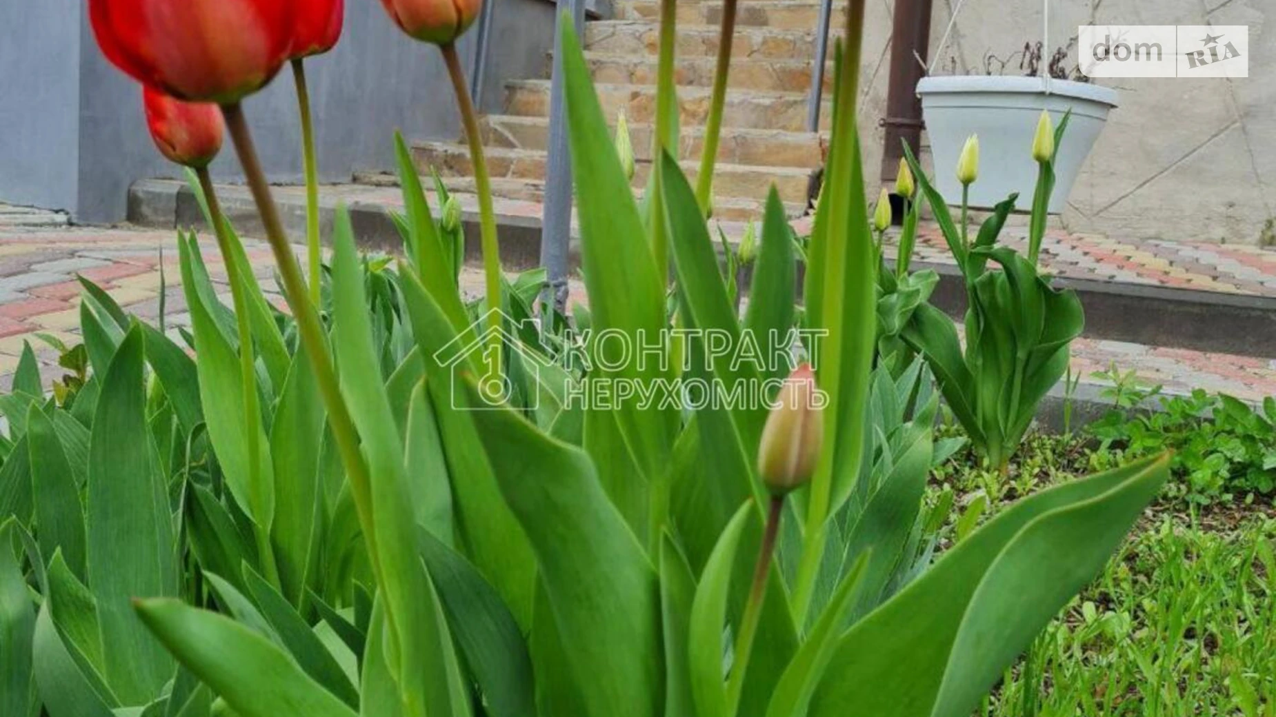 Продается дом на 2 этажа 145 кв. м с участком, цена: 110000 $ - фото 3