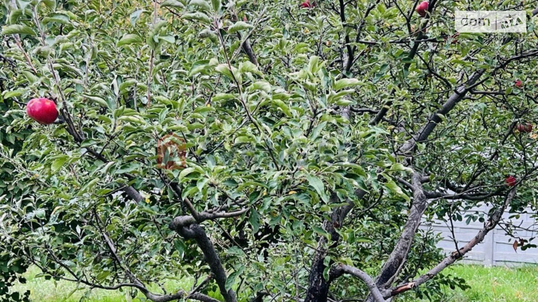 Продается дом на 2 этажа 97.5 кв. м с бассейном, цена: 170000 $ - фото 4