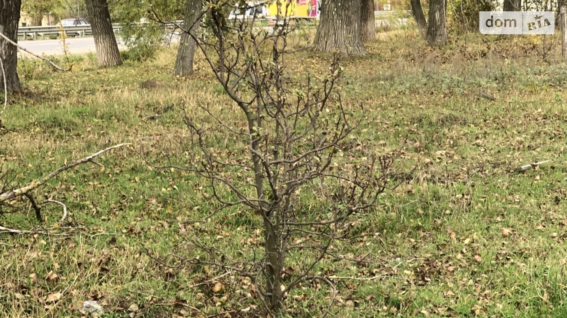 Продается земельный участок 25 соток в Винницкой области, цена: 195000 $ - фото 5