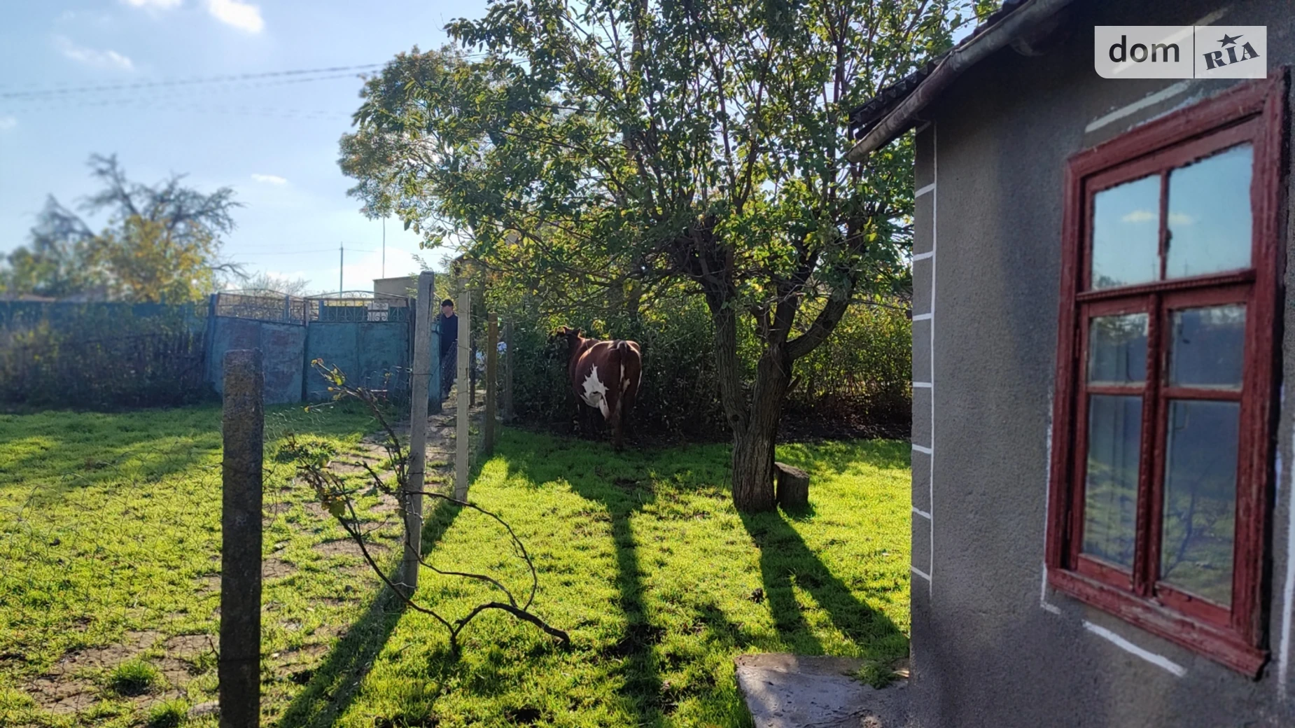 Продается одноэтажный дом 42 кв. м с баней/сауной, цена: 9500 $ - фото 3