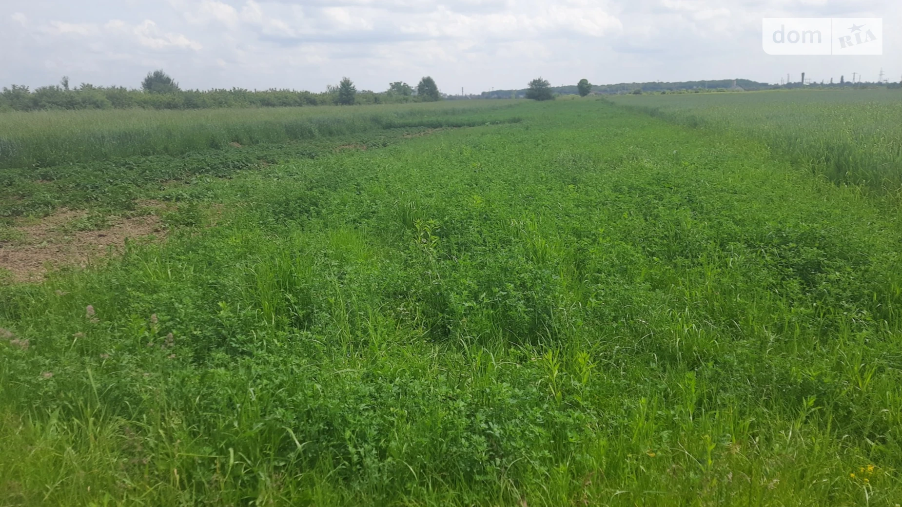 Продается земельный участок 172 соток в Закарпатской области, цена: 100000 $ - фото 3