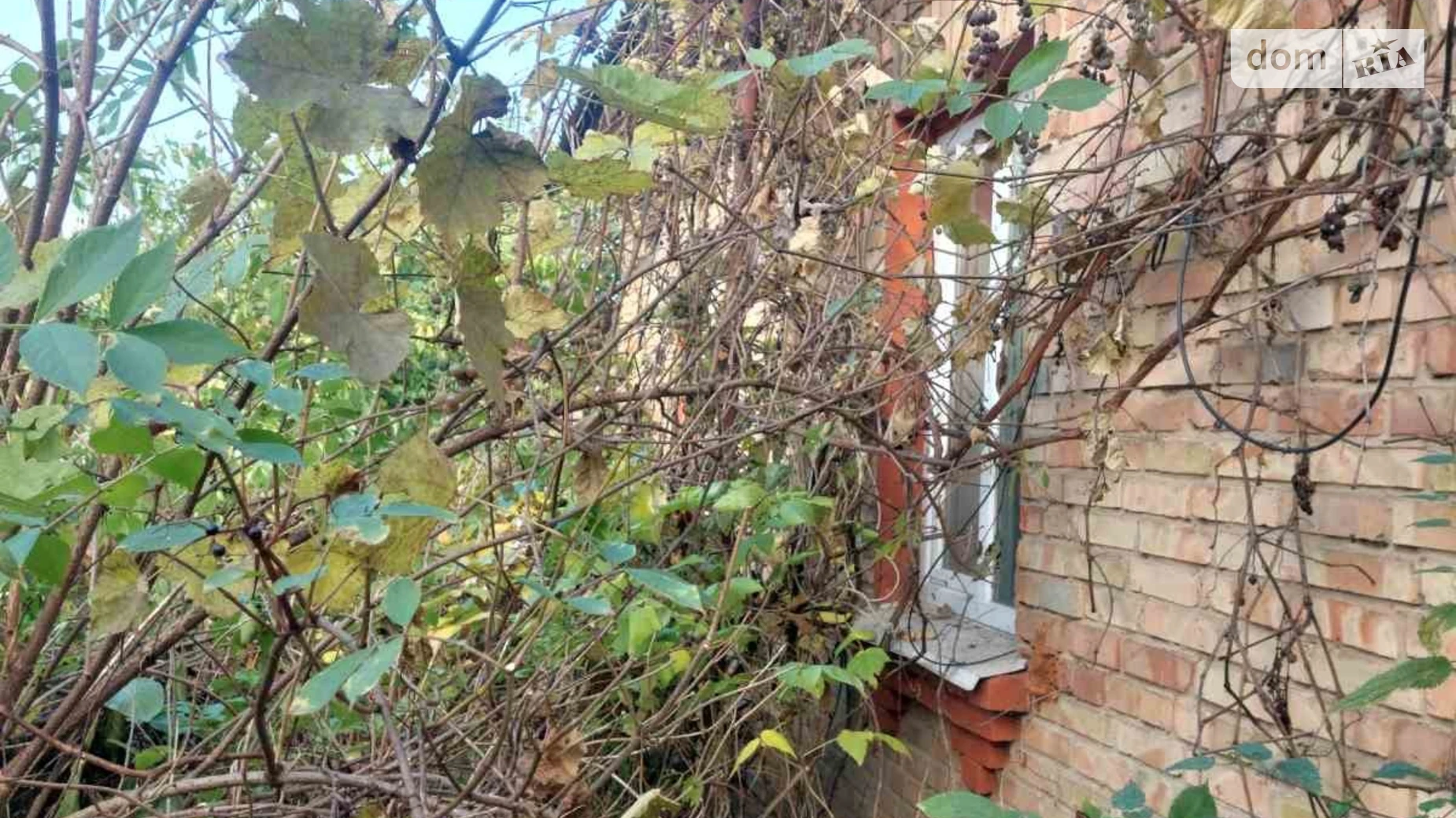 Продается одноэтажный дом 71 кв. м с террасой, цена: 26000 $ - фото 3