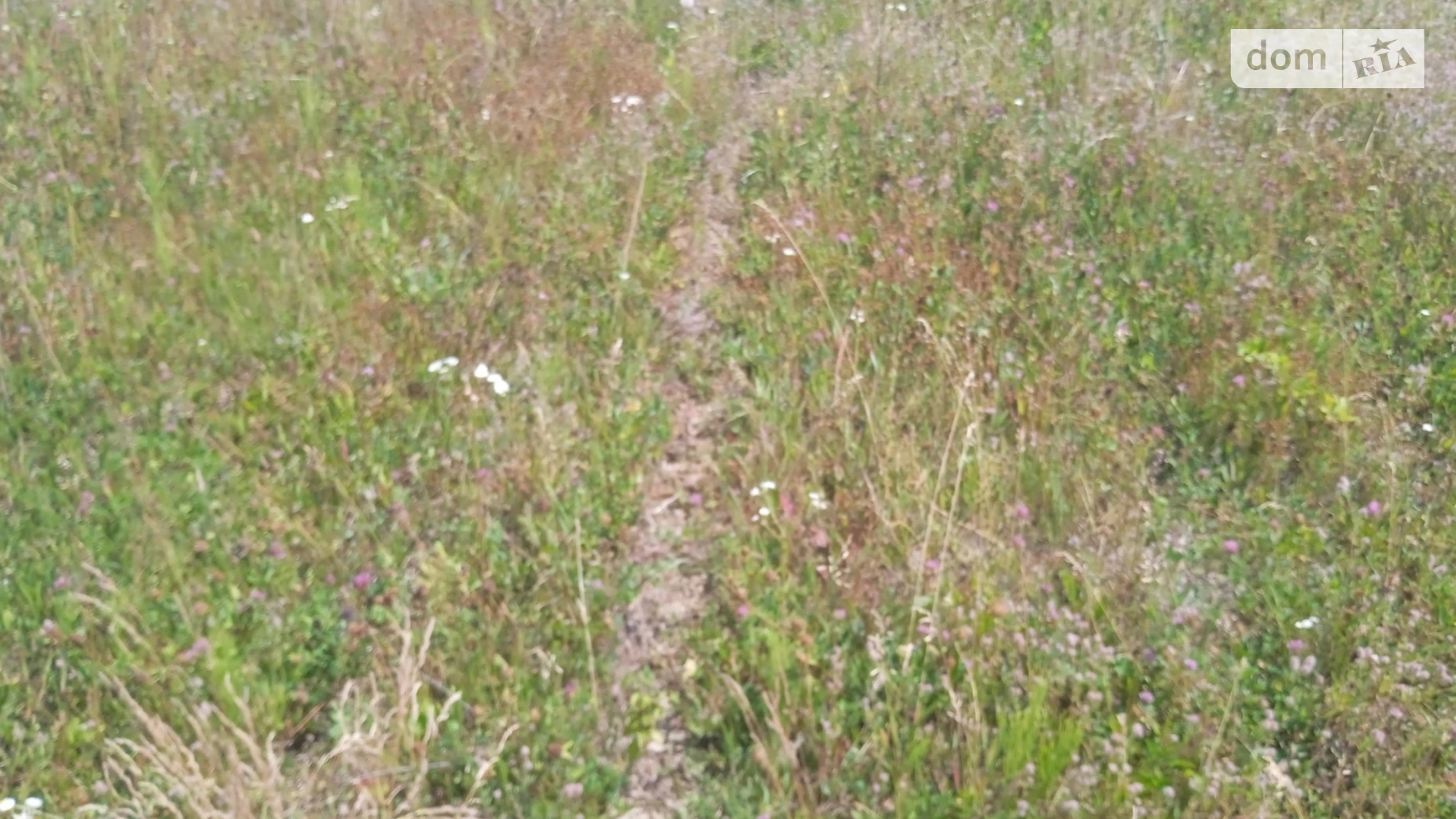 вулиця Садова Стадница, цена: 15000 $ - фото 3