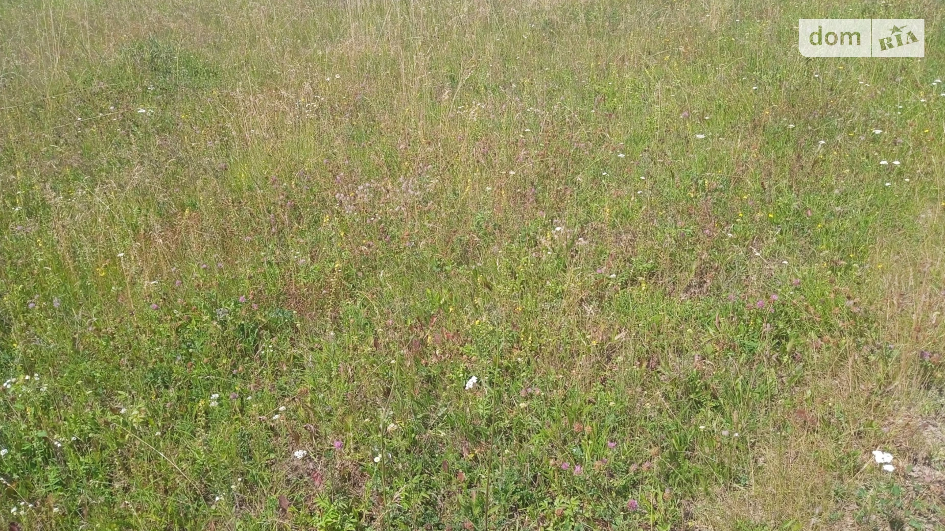 вулиця Садова Стадница, цена: 15000 $ - фото 2