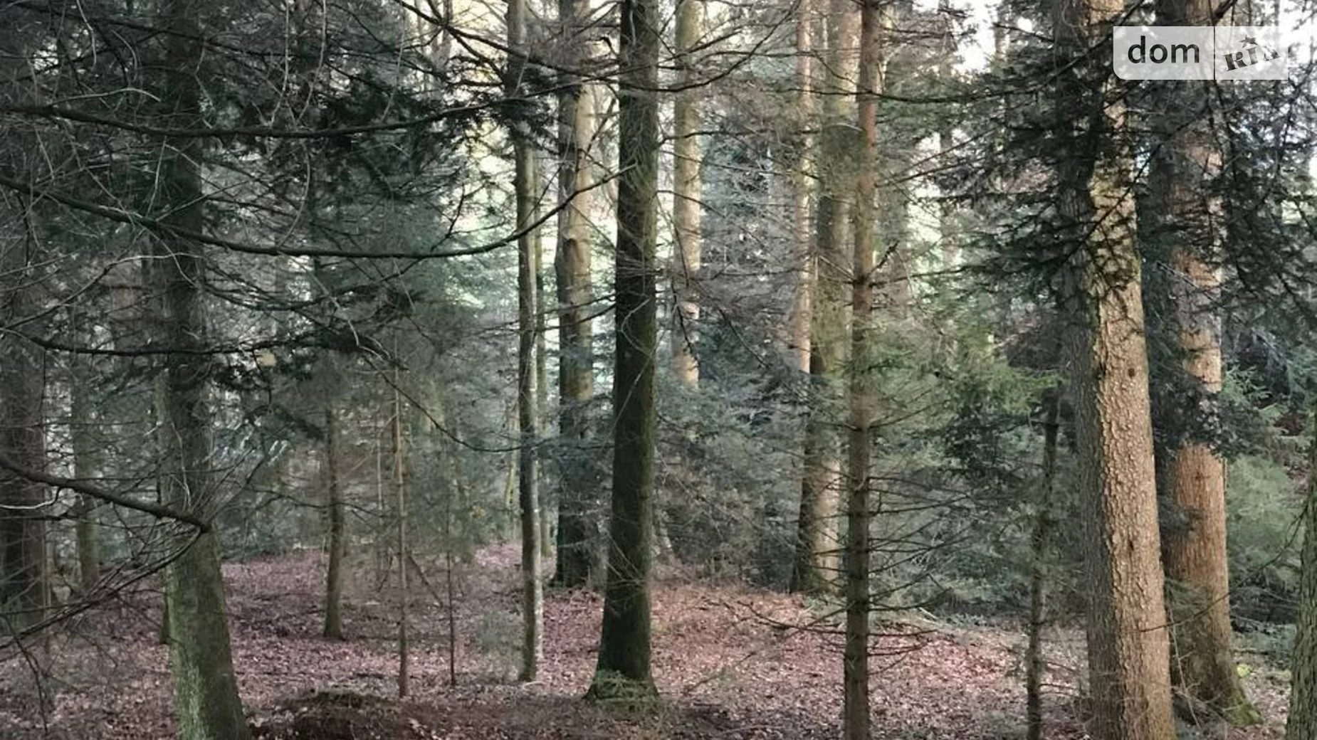 Поляна (Мукачево), цена: 315000 $ - фото 3