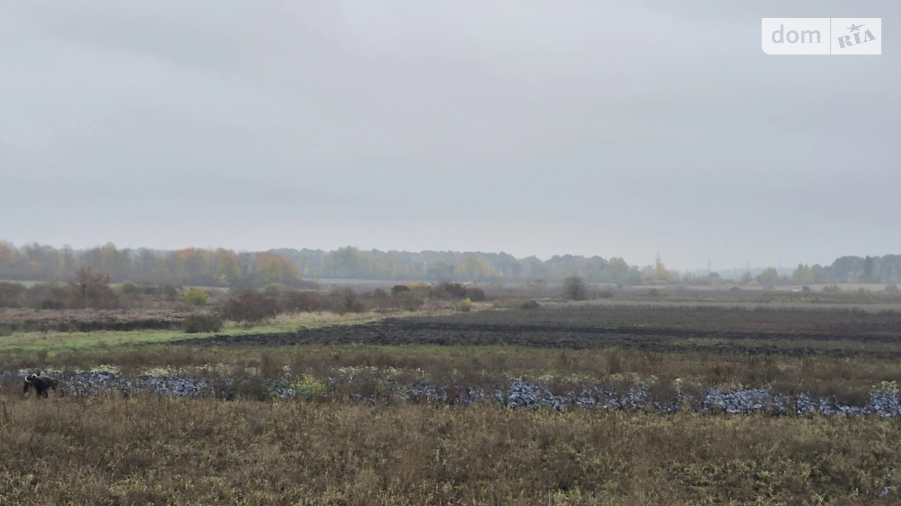 Продається земельна ділянка 16 соток у Вінницькій області, цена: 24000 $ - фото 3