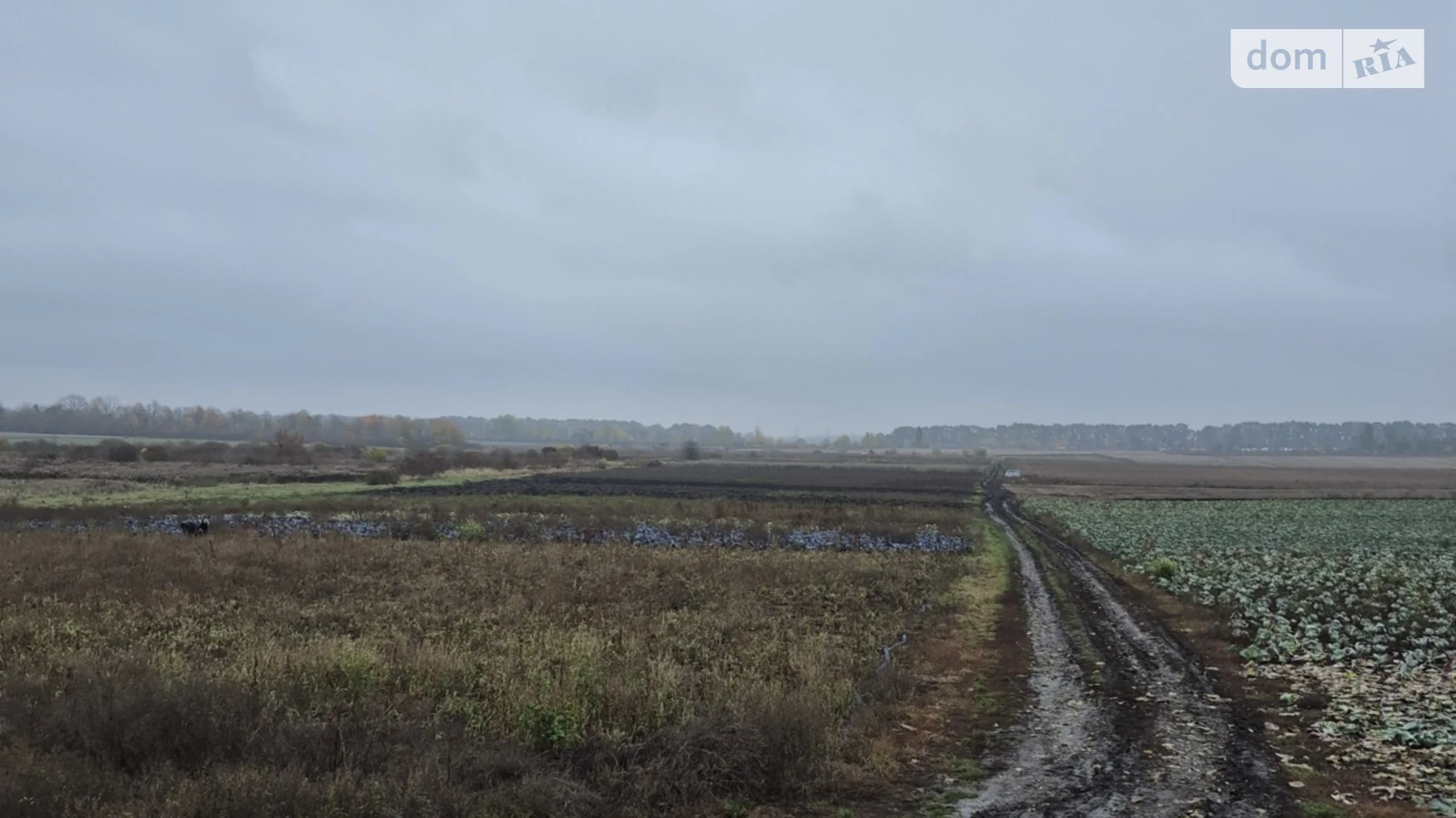 Продається земельна ділянка 16 соток у Вінницькій області, цена: 24000 $ - фото 2